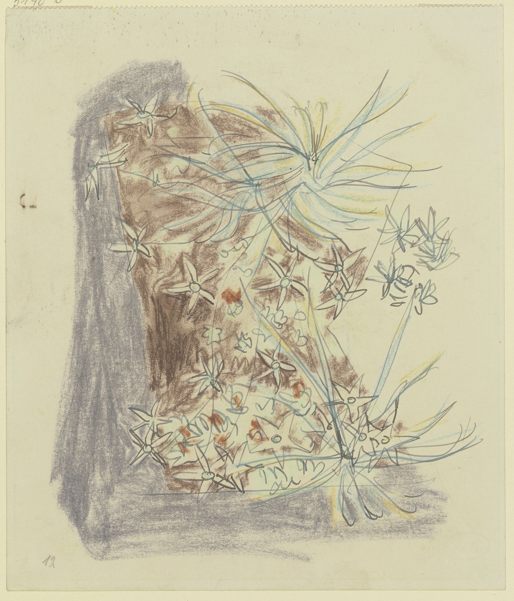 Study of plants by August Babberger