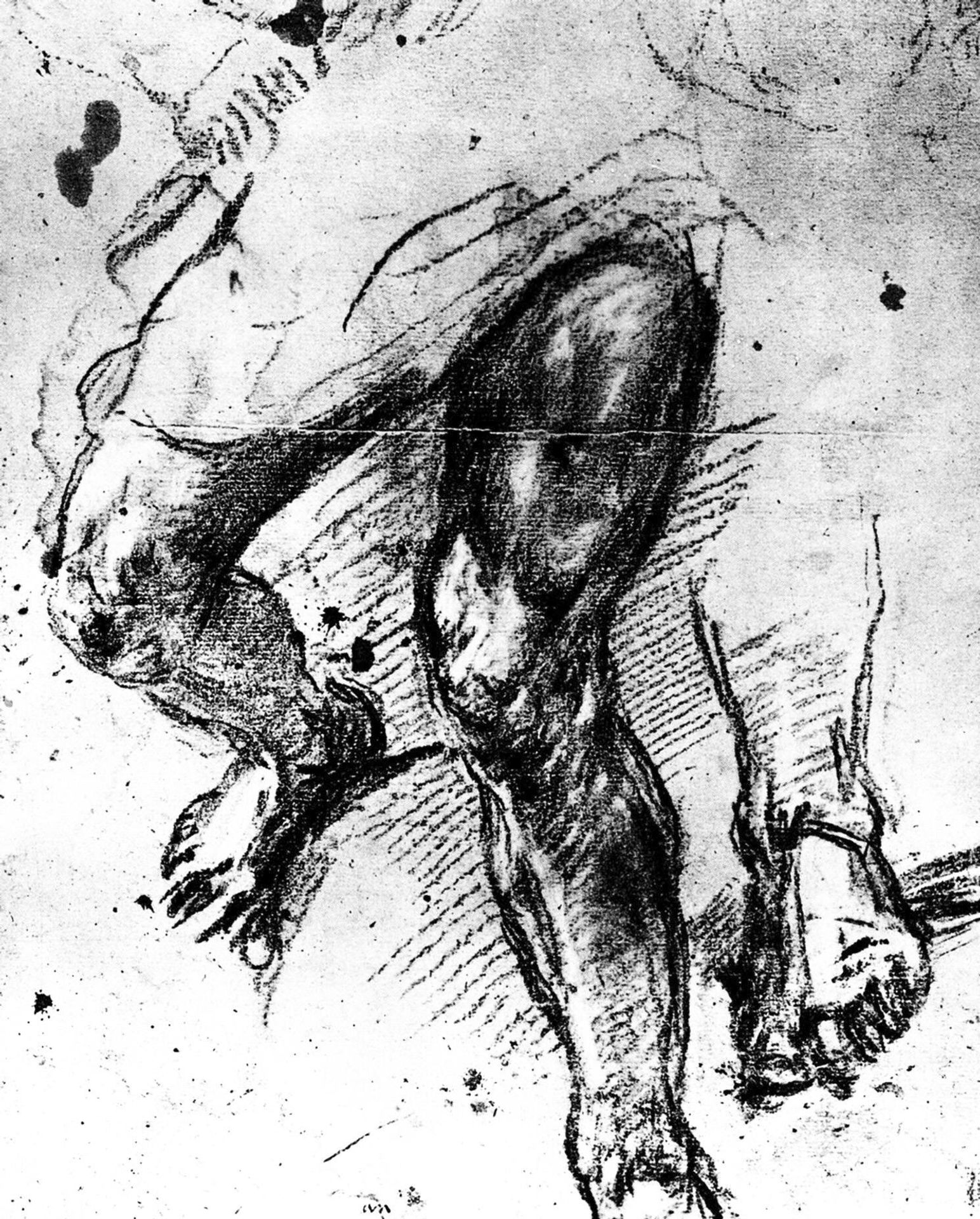 Study of legs by Titian