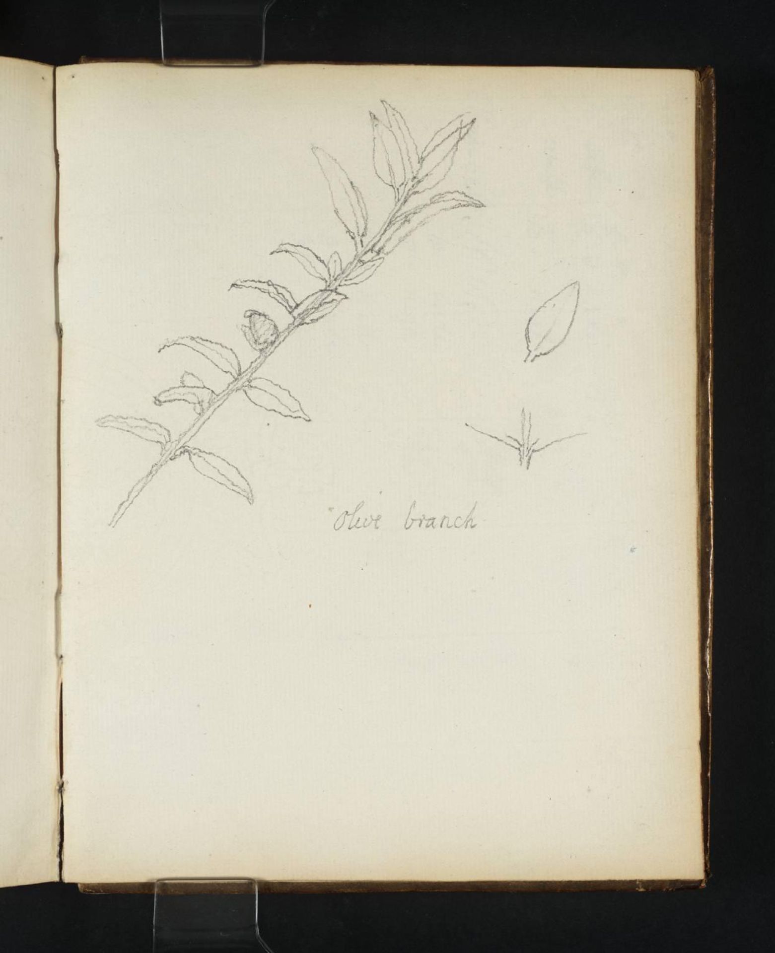 [title not known] by John Flaxman