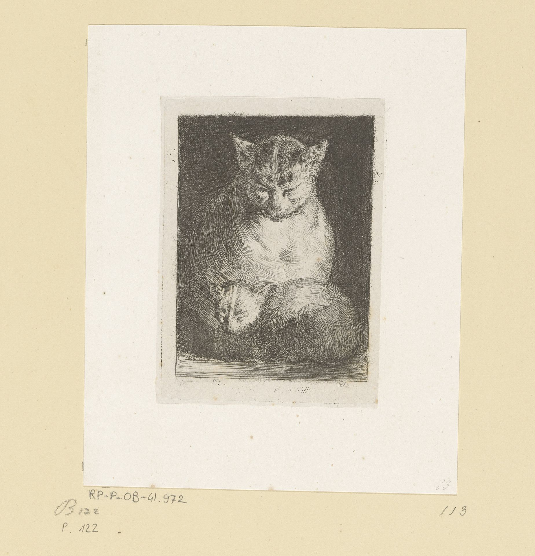 Kat met haar jong by Jean Jacques de Boissieu