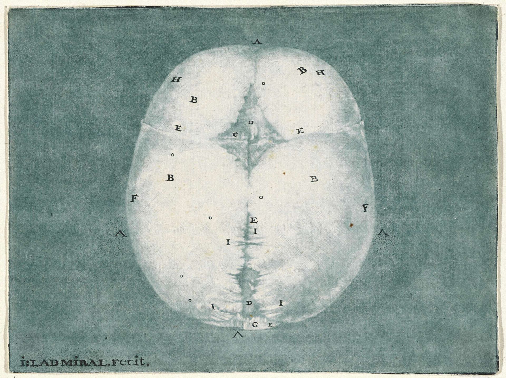 Prints of the Brain and the Heart by Jan l' Admiral