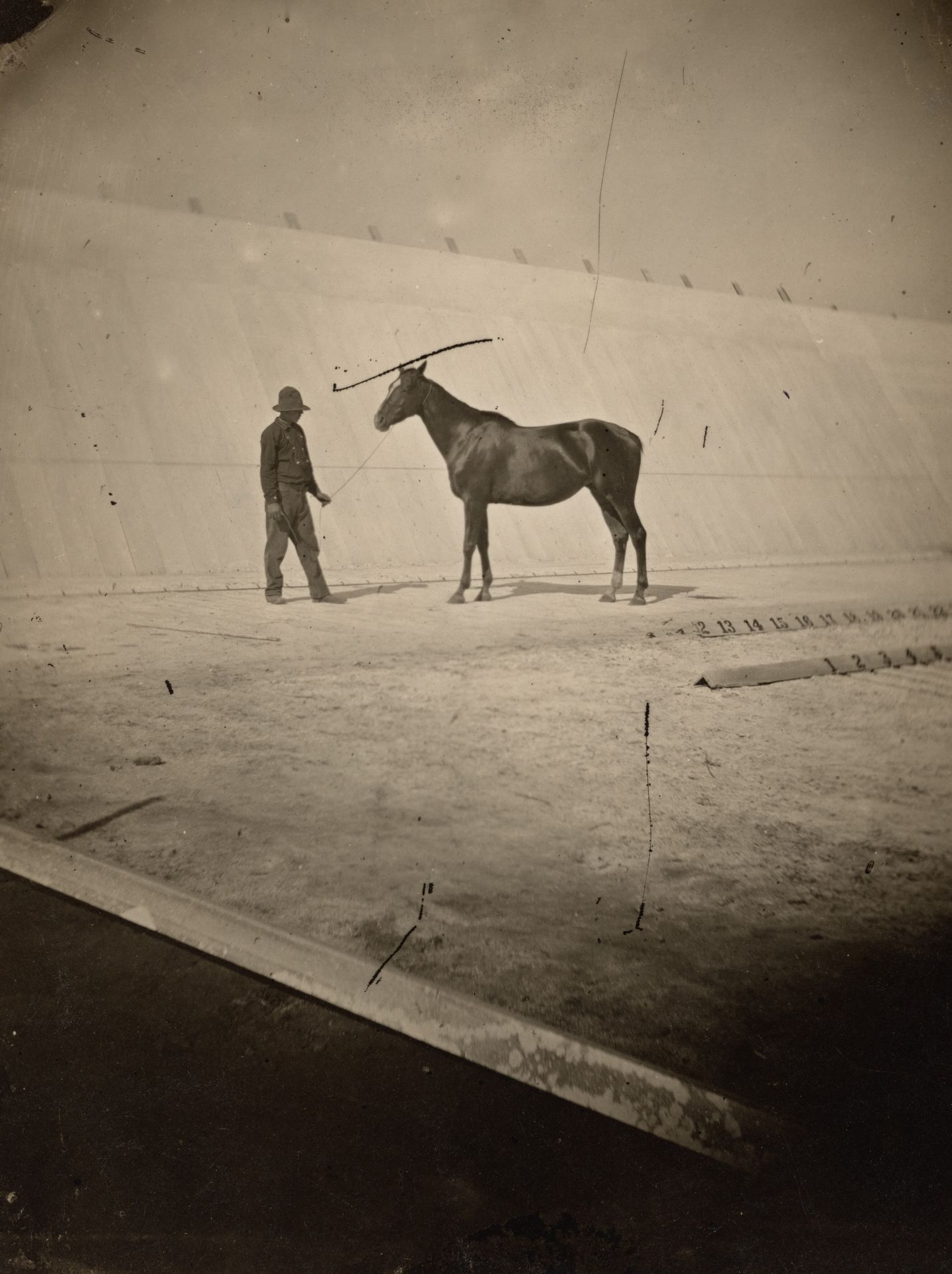 Detail of the Track at Leland Stanford's Horse Farm in Palo Alto by Eadweard Muybridge