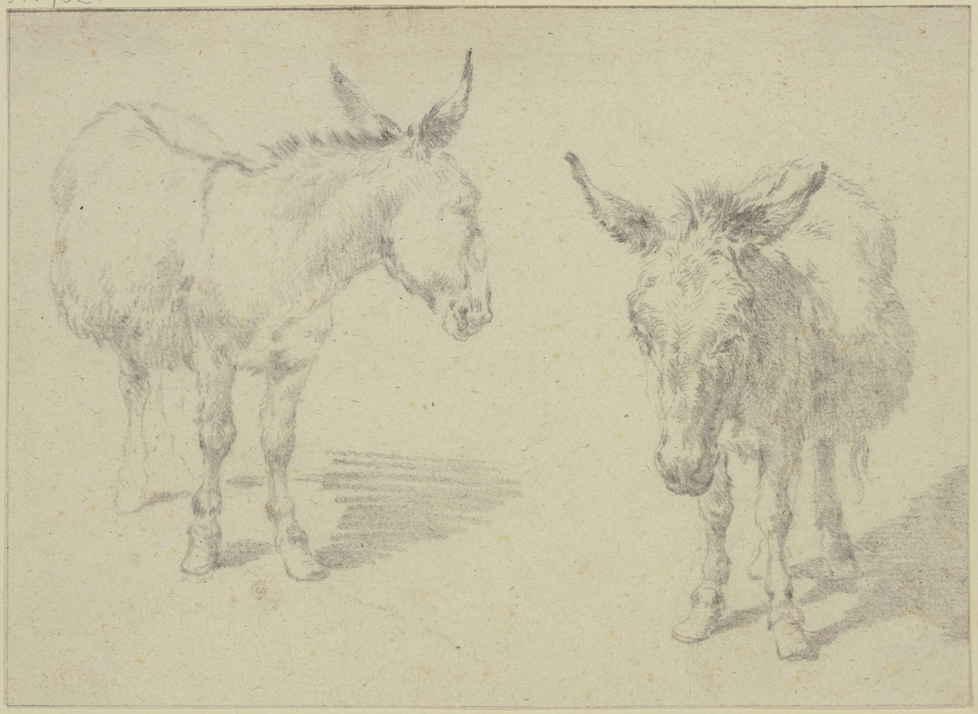 Two donkeys by Nicolaes Berchem
