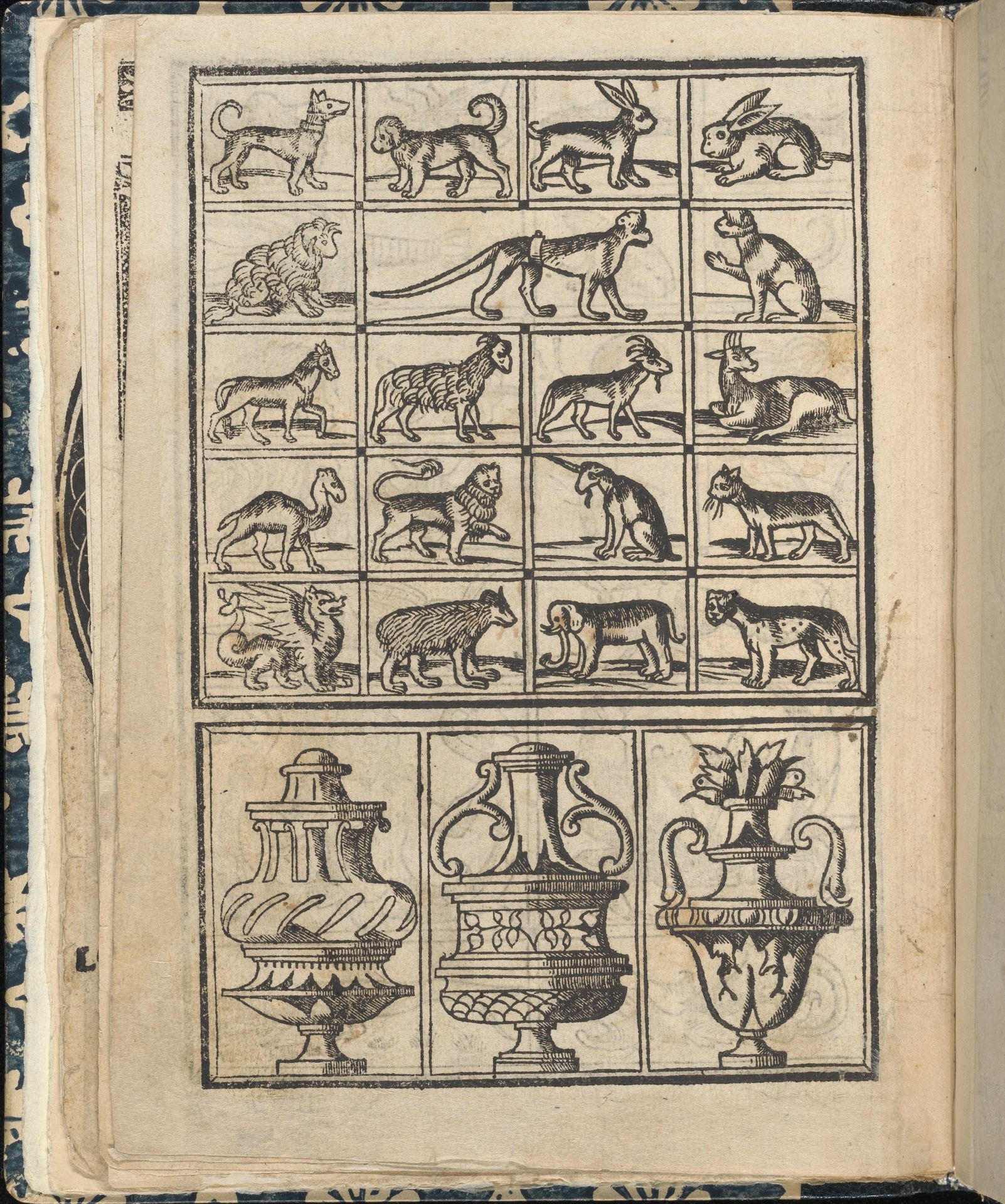 Essempio di recammi, page 11 (verso) by Giovanni Antonio Tagliente