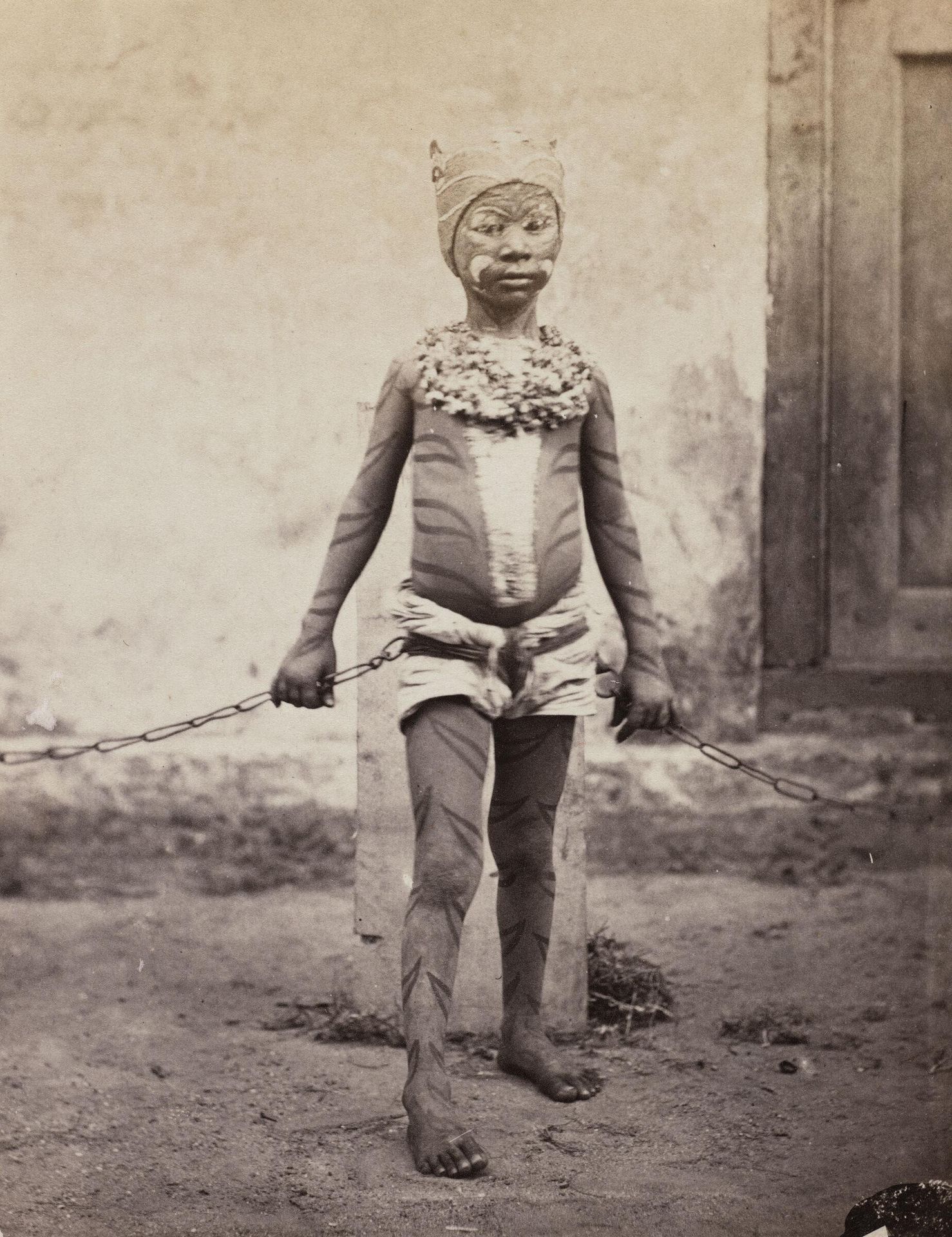 Untitled (boy entertainer dressed as a tiger) by Willoughby Wallace Hooper