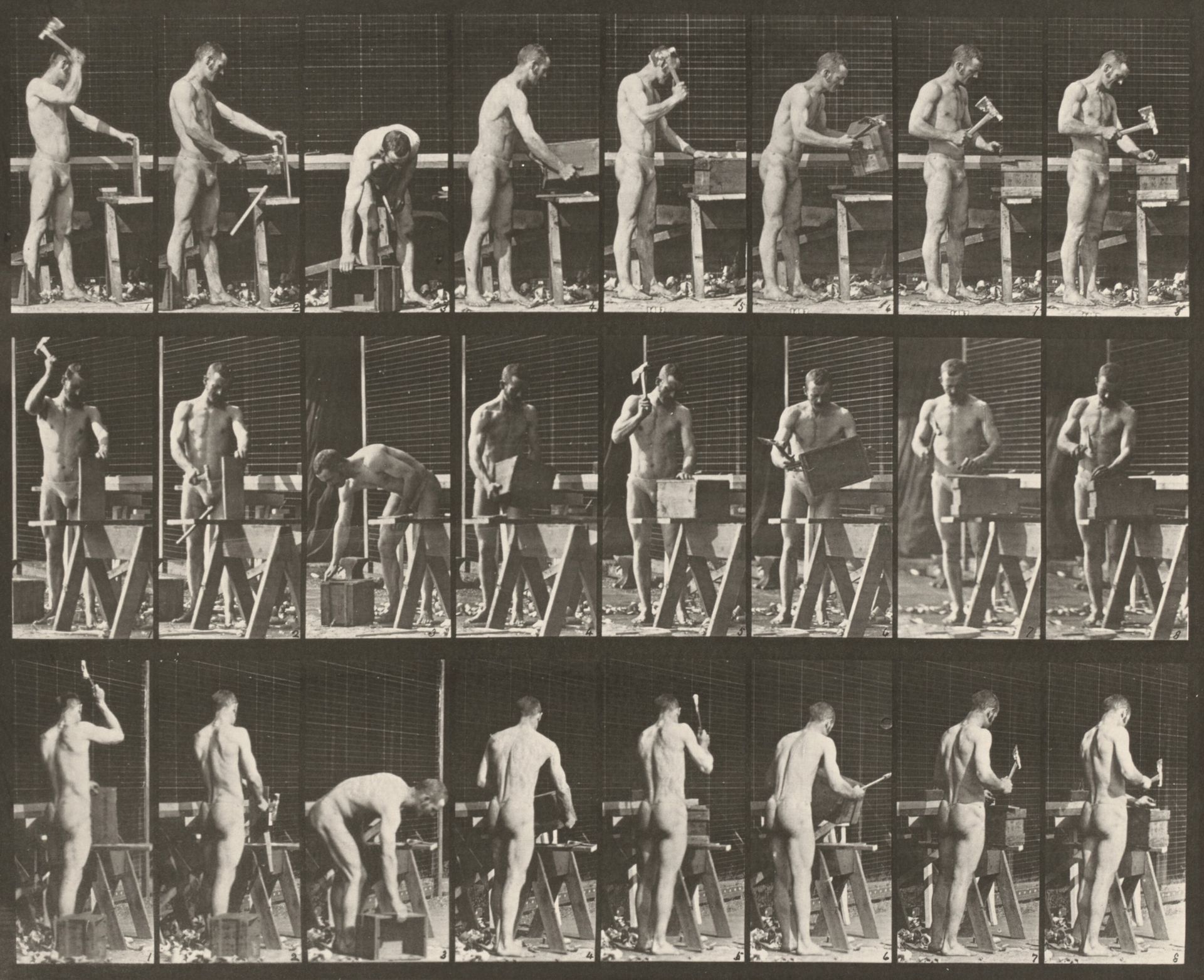 Plate Number 507. Carpentering by Eadweard Muybridge