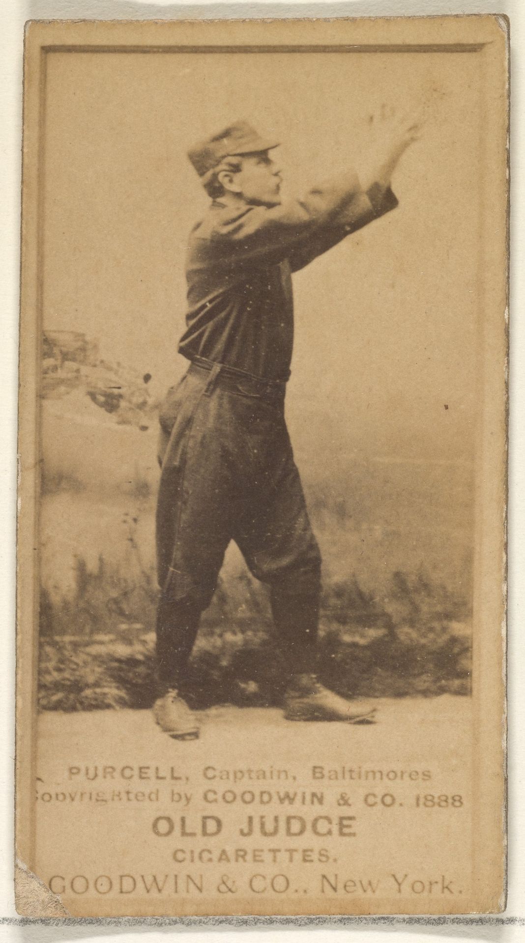Purcell, Captain, Baltimore Orioles, from the Old Judge series (N172) for Old Judge Cigarettes by Goodwin & Company