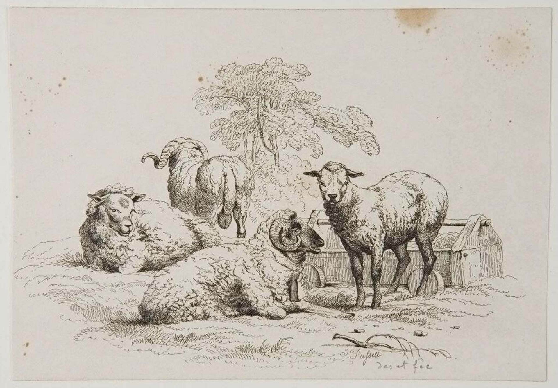 Four Sheep by Joseph Fussell