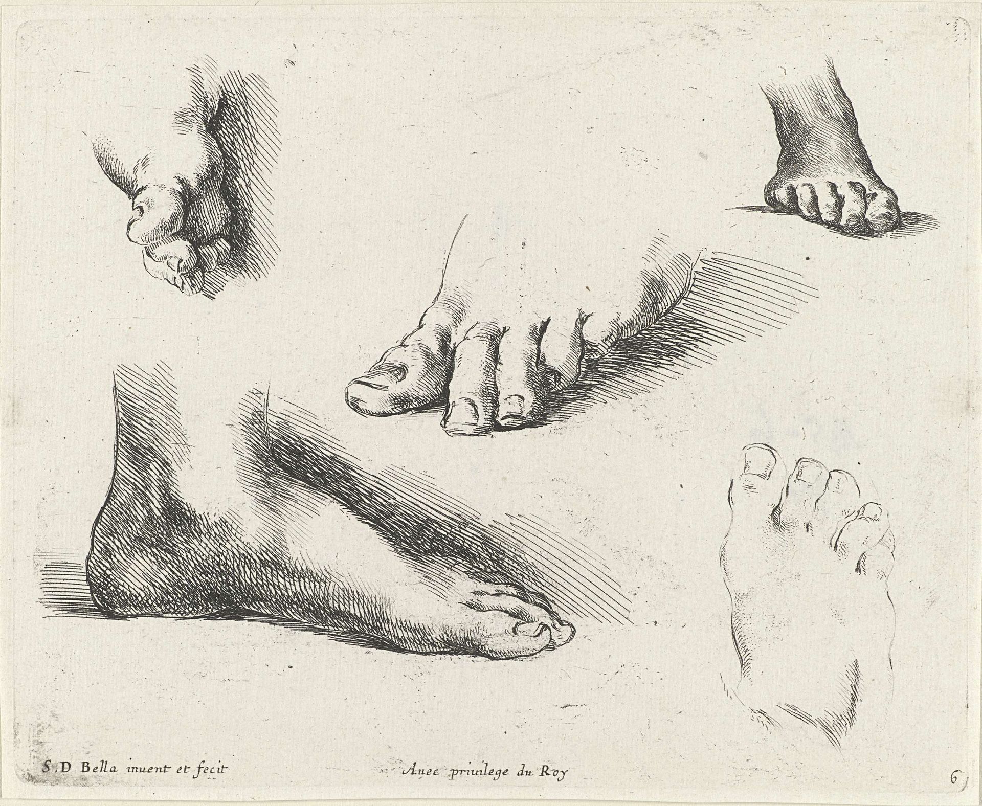 Vijf voeten by Stefano della Bella