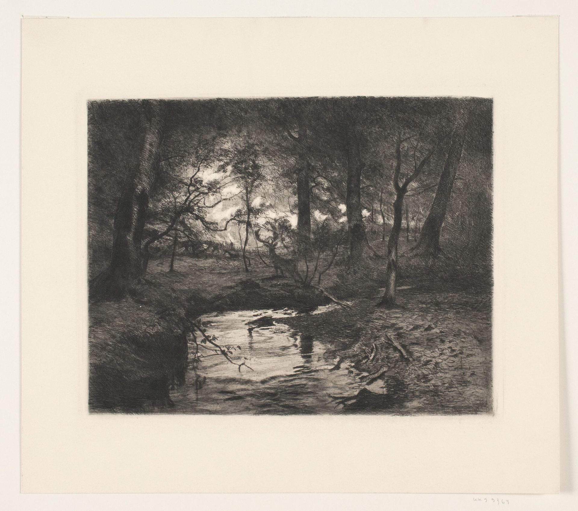 Aa i Borrevejle Skov by Thorvald Niss
