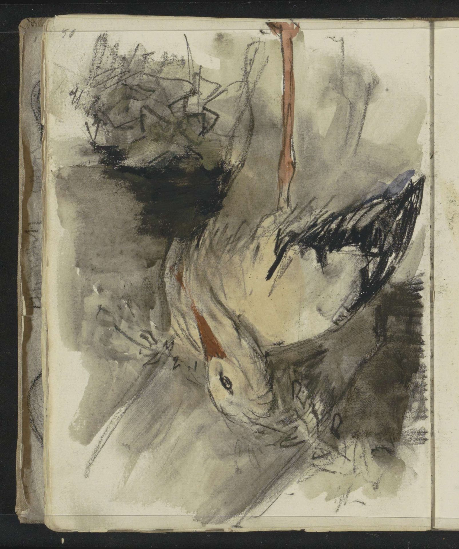 Ooievaar by Floris Arntzenius