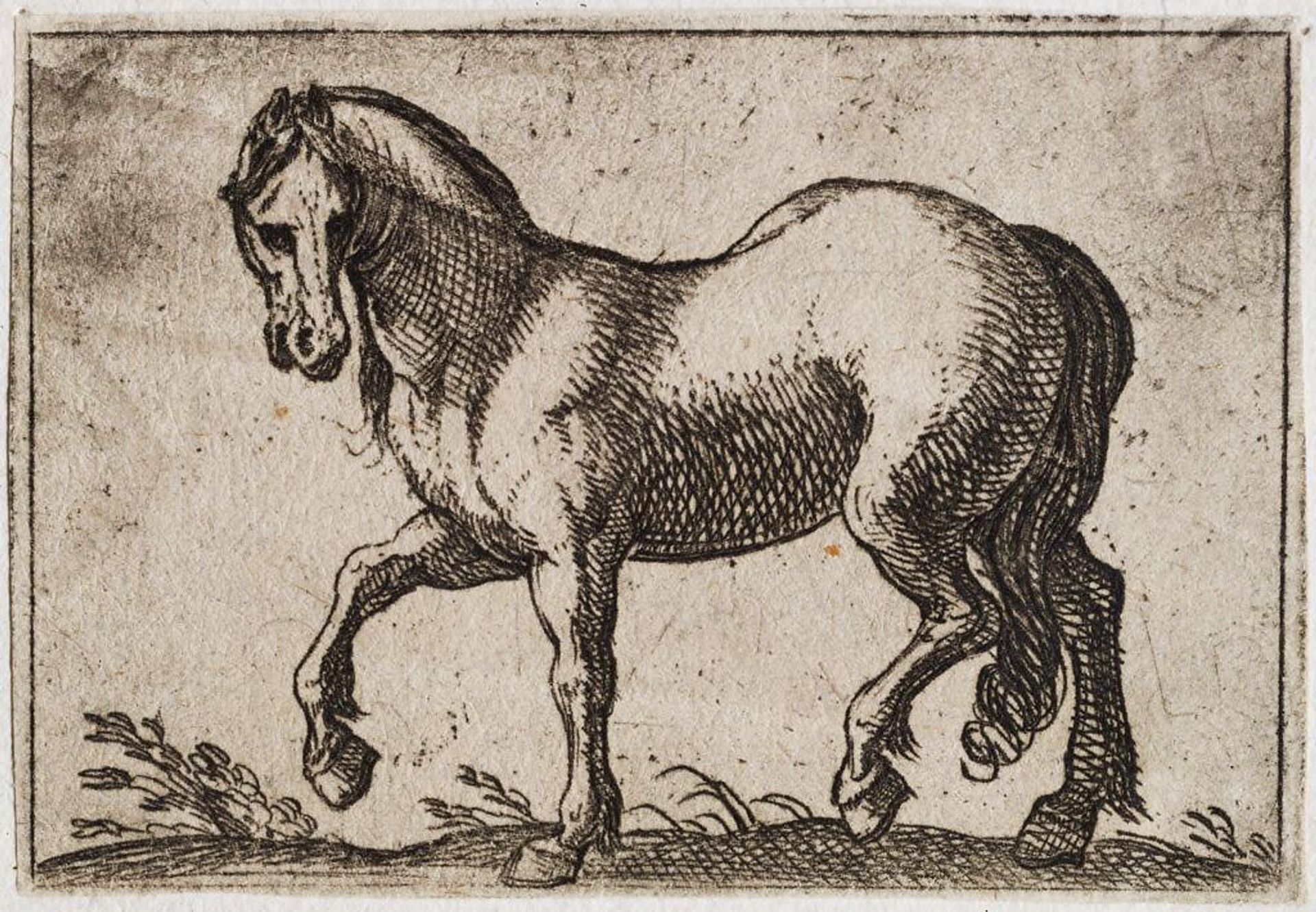 Horse Walking to the Left by Antonio Tempesta