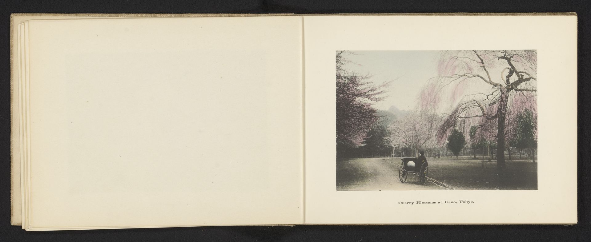 Kersenbloesems in het Uenopark in Tokyo by Kōzaburō Tamamura