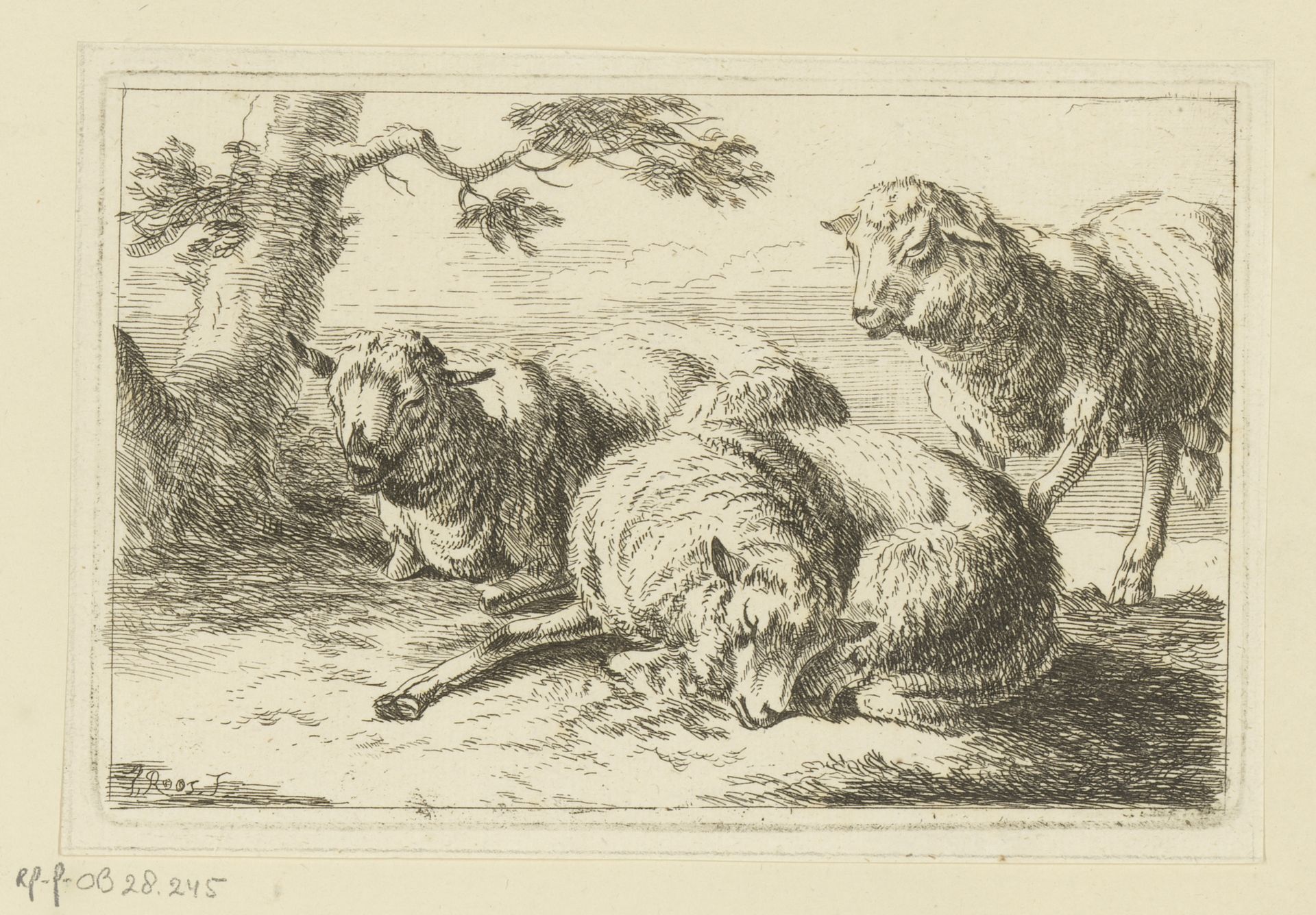 Drie schapen by Joseph (I) Roos
