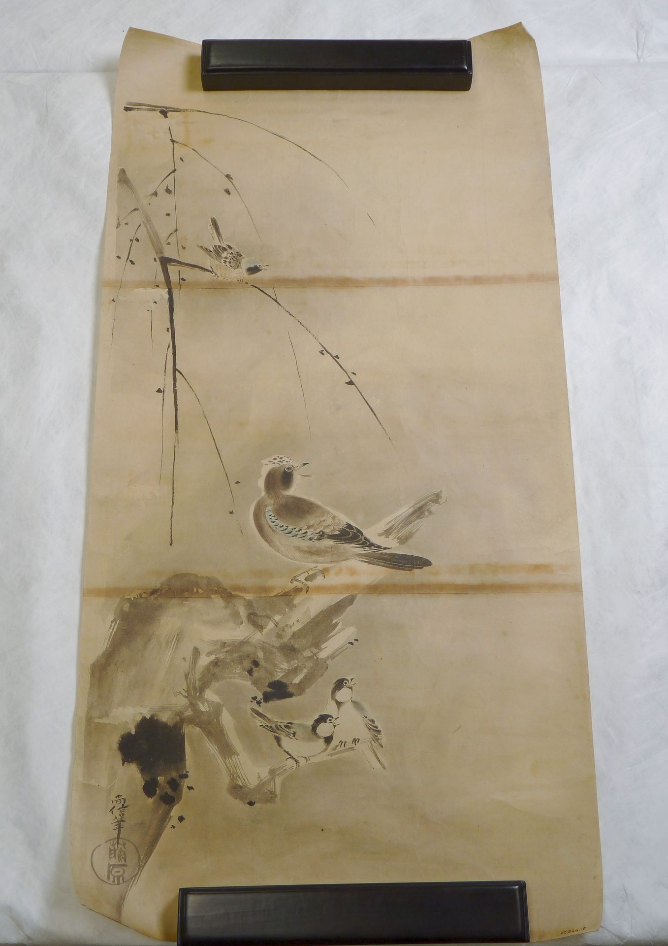 Japanese Drawing by Kano Naonobu