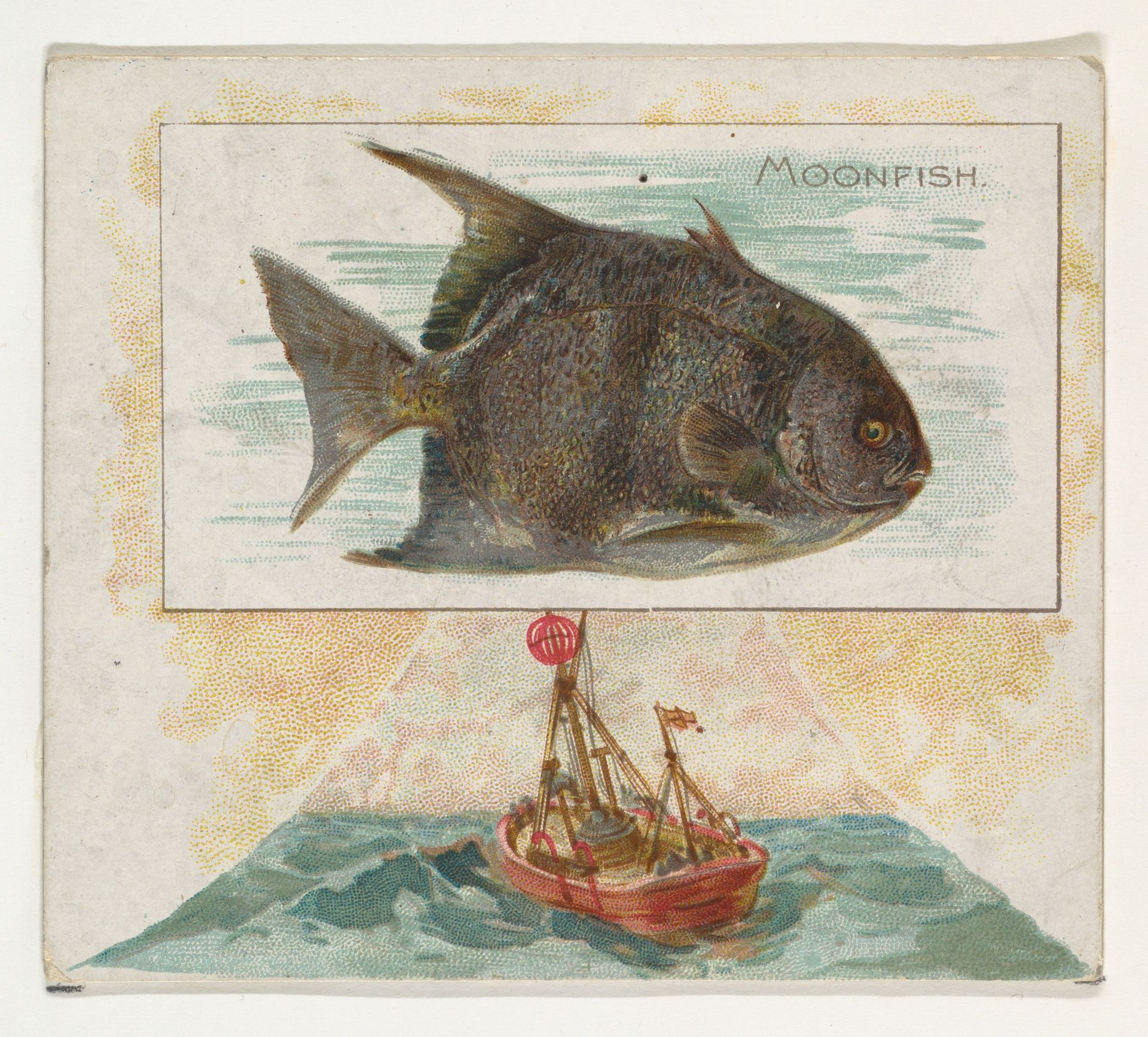 Moonfish, from Fish from American Waters series (N39) for Allen & Ginter Cigarettes by Allen & Ginter