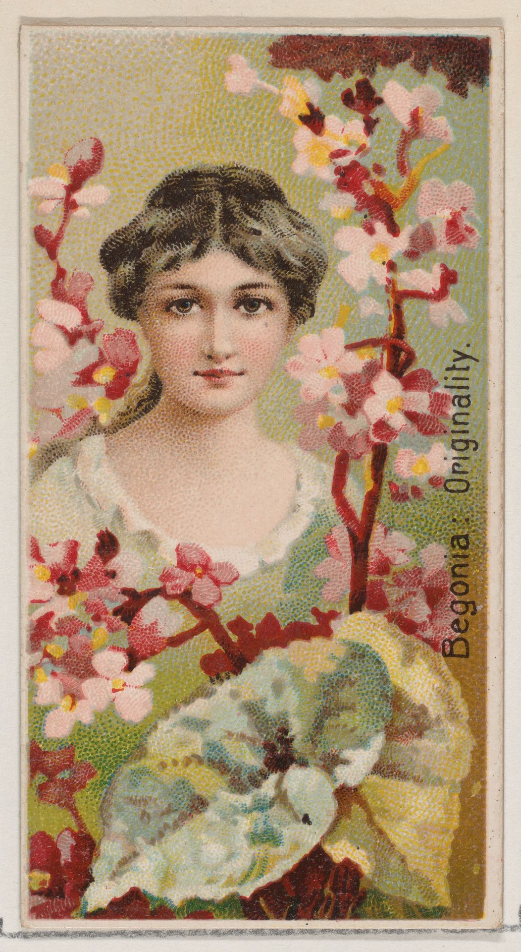 Begonia: Originality, from the series Floral Beauties and Language of Flowers (N75) for Duke brand cigarettes by American Tobacco Company