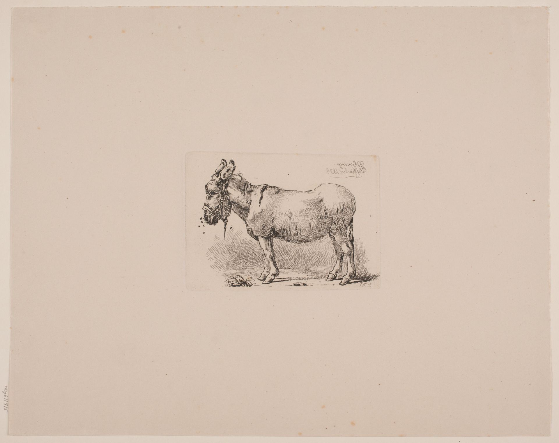 Et æsel, plaget af fluer by Johan Thomas Lundbye