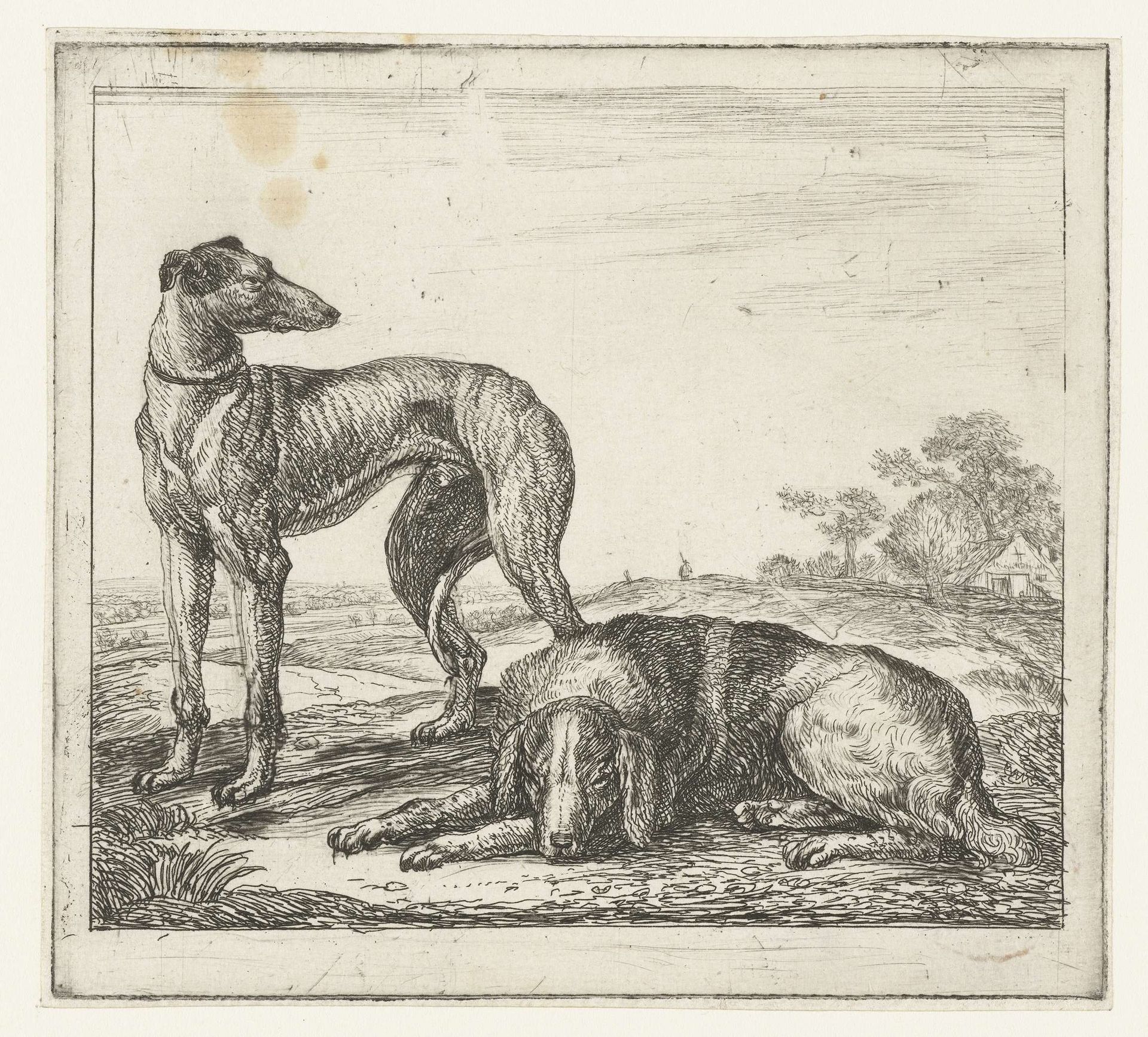 Hazewindhond en jachthond by Simon de Vlieger