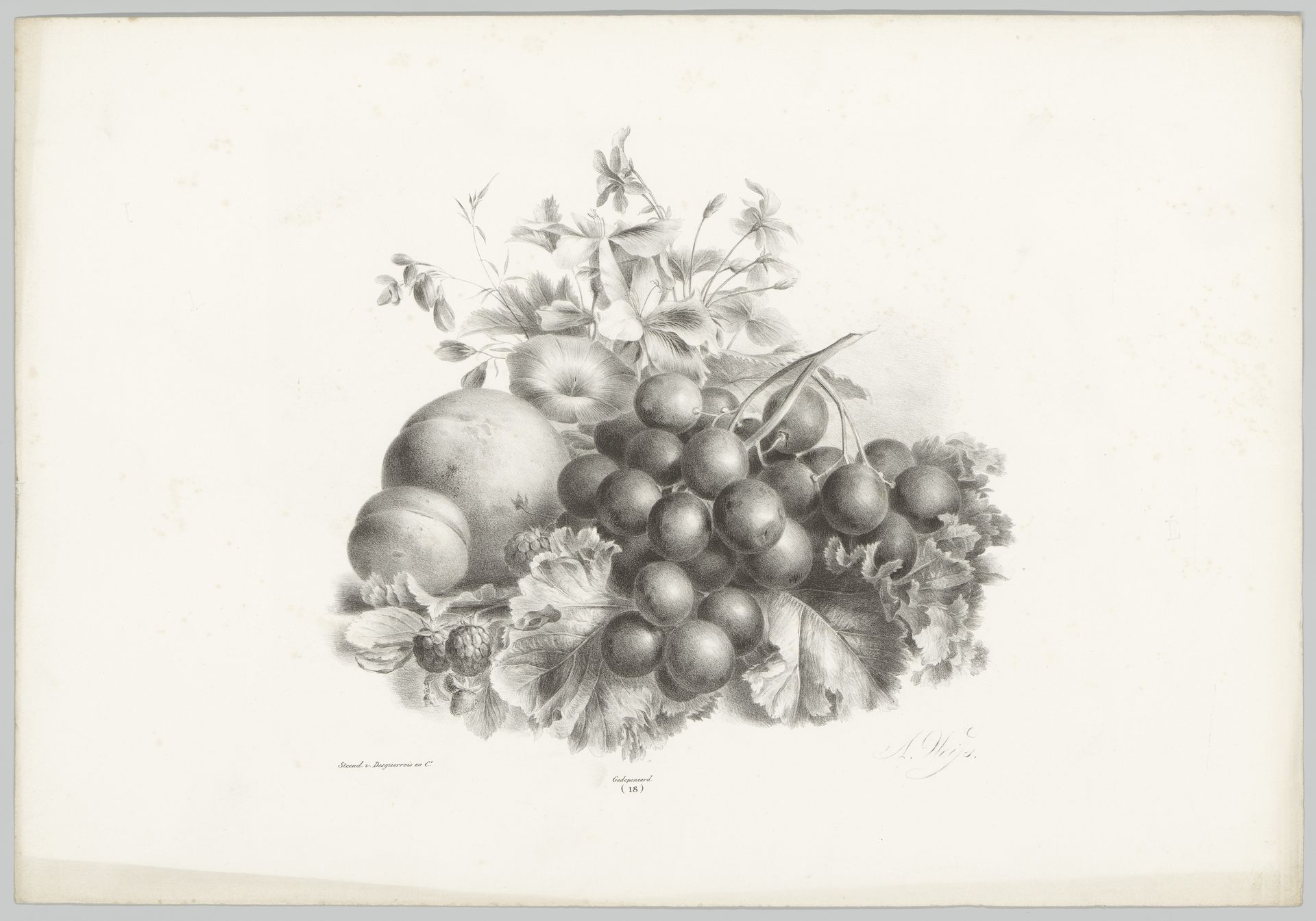 Bloemen, perzik, nectarine, druiven en bramen by Anton Weiss