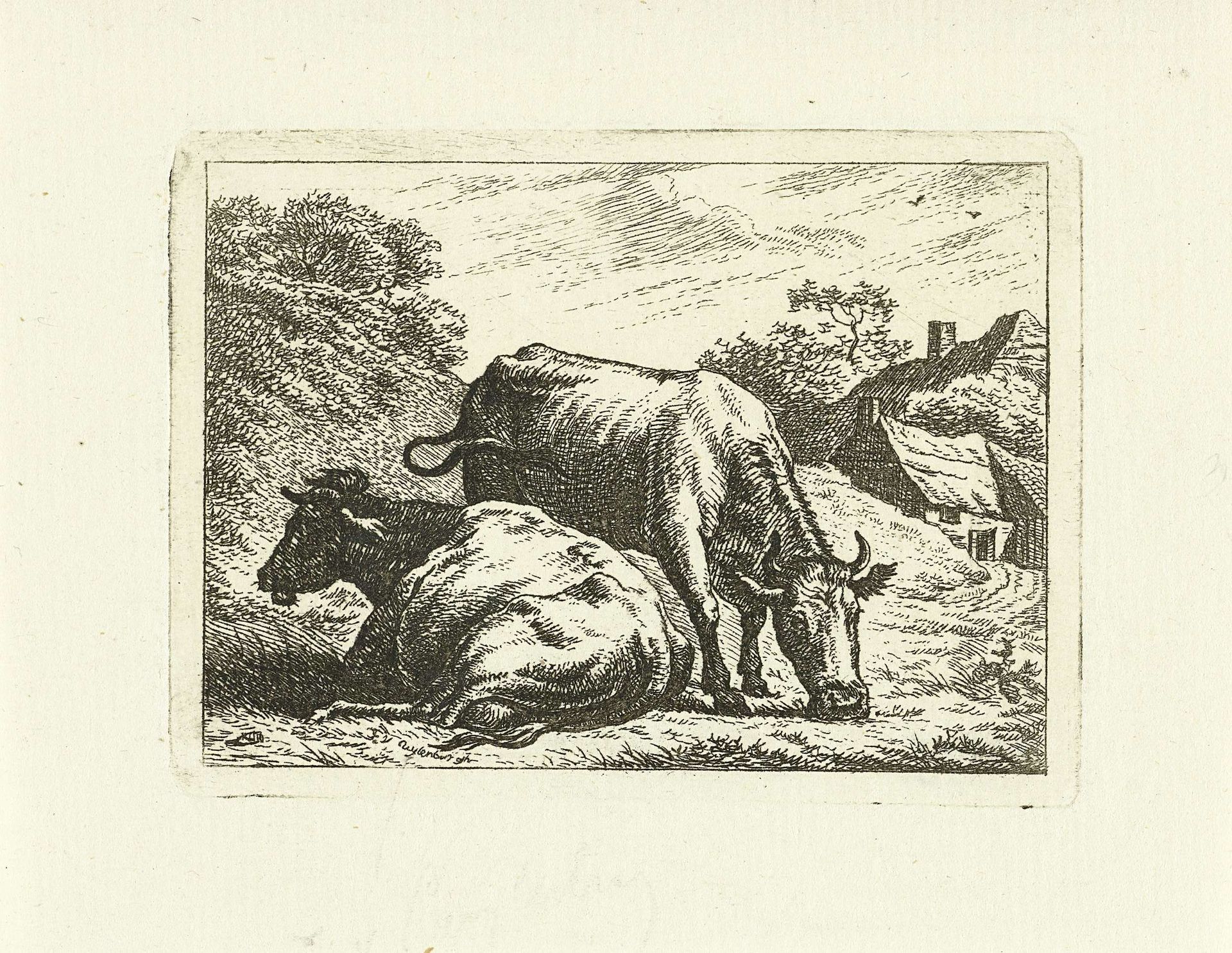 Twee koeien langs weg bij boerderij by Johannes van Cuylenburgh