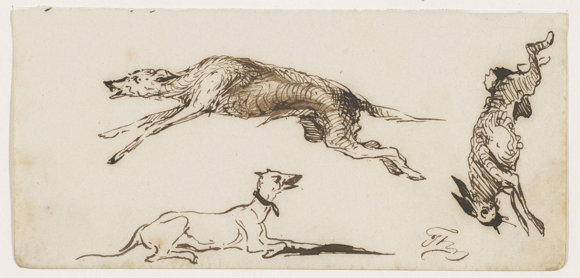 Honden en haas by Johannes Tavenraat