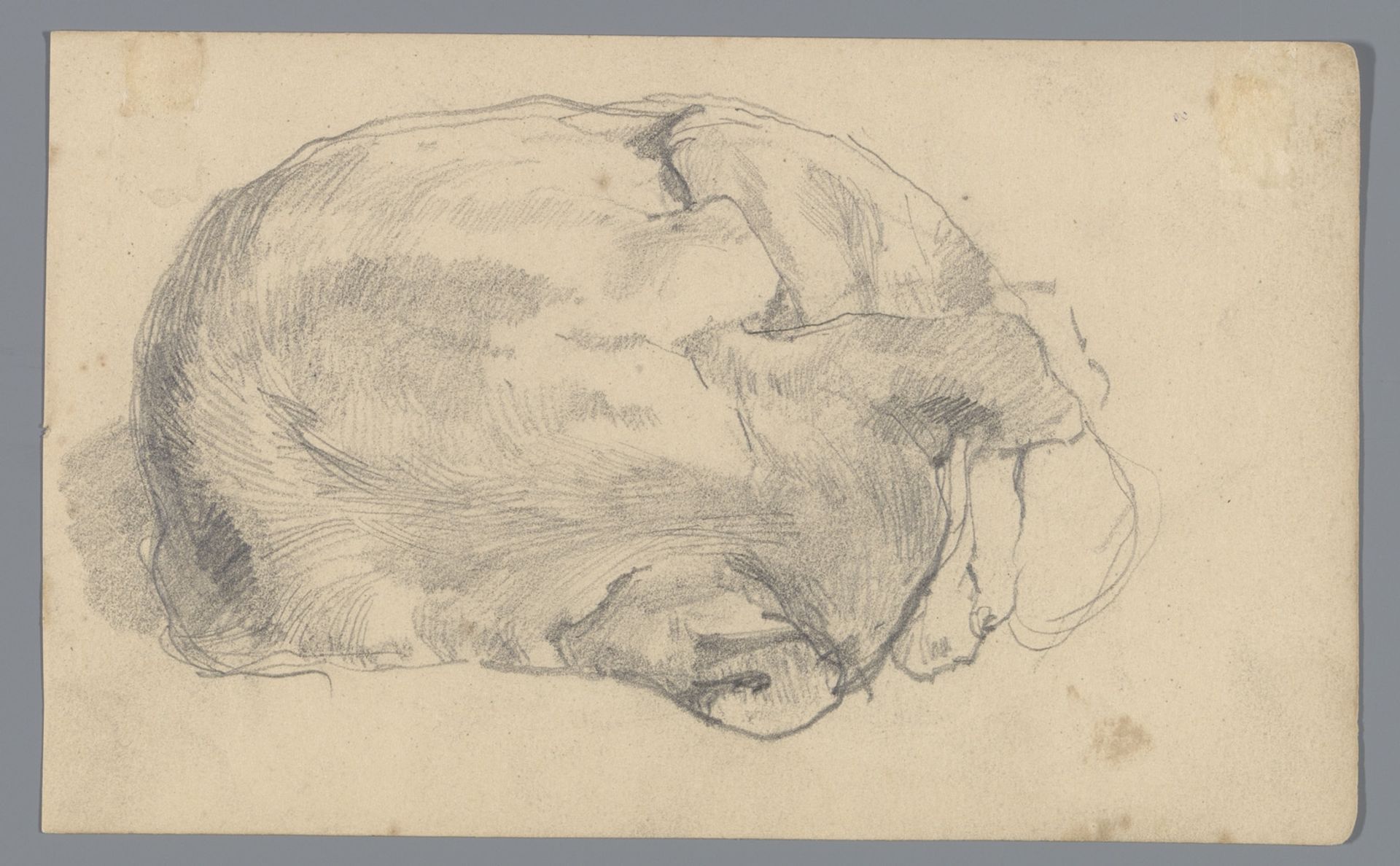 Liggende hond of kat by George Hendrik Breitner
