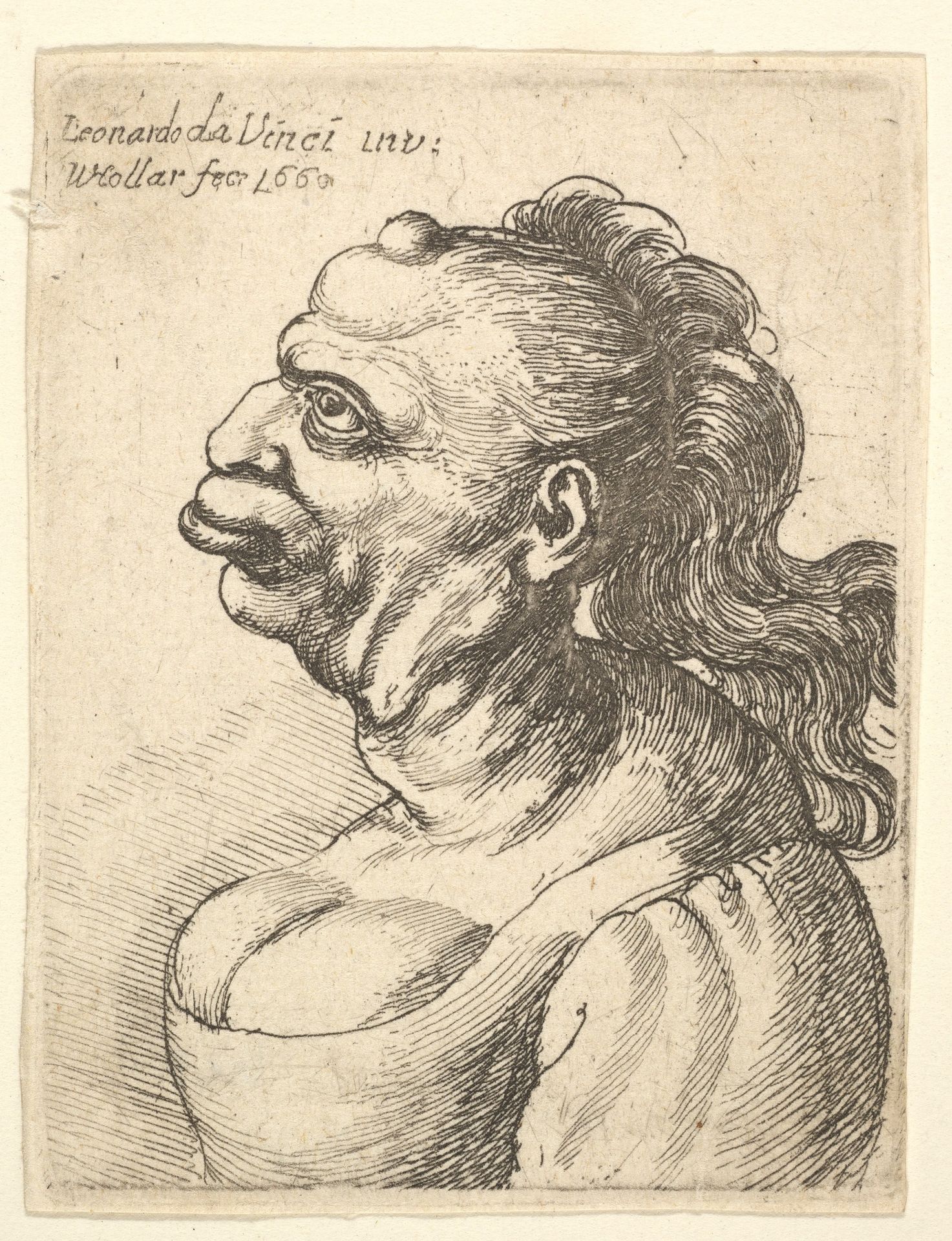 Bust of a woman wearing low-cut dress, with protruding lipd, growth on her forehead, prominent breast,  long flowing hair down her back, in profile to left. by Wenceslaus Hollar