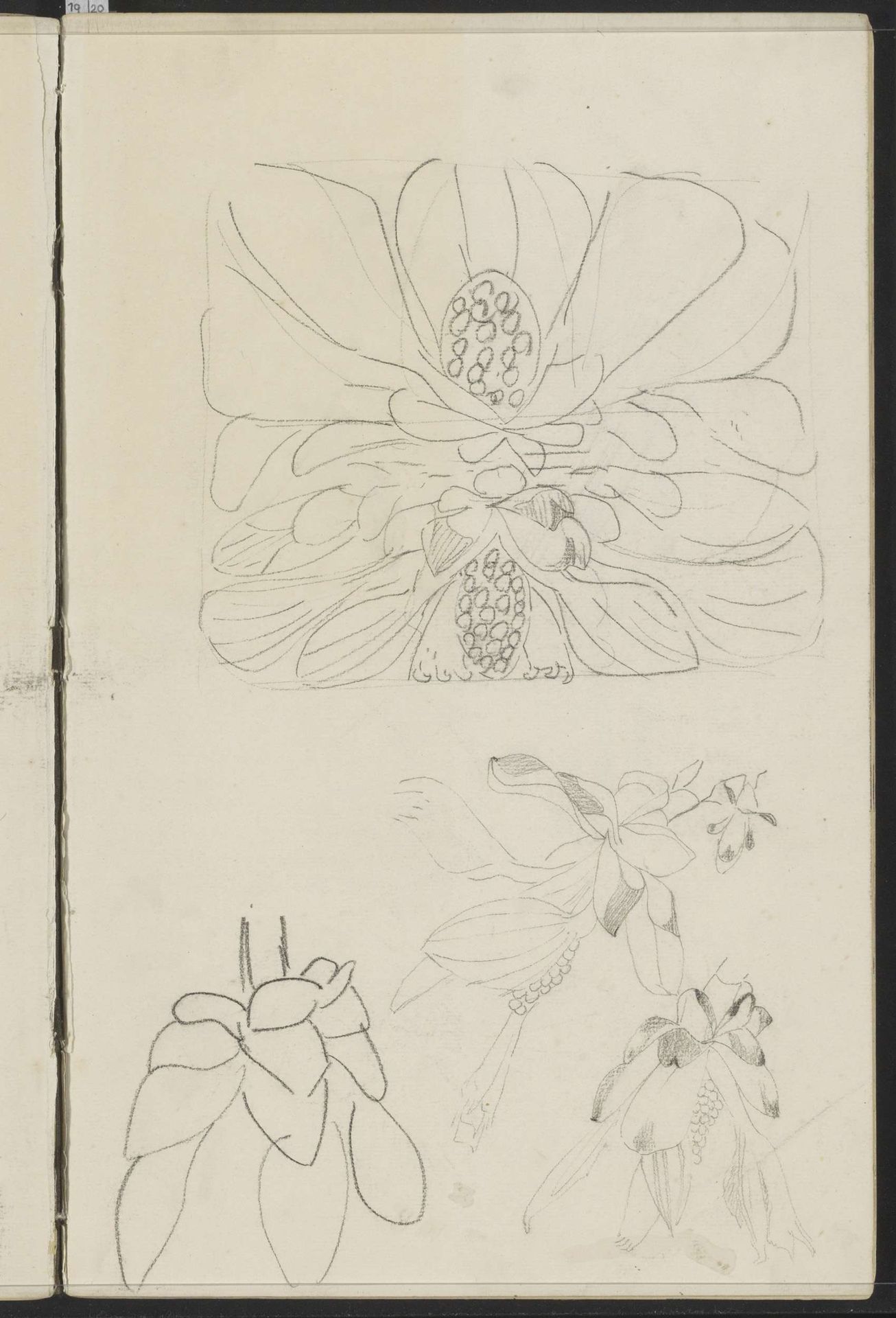 Ornamenten met bloemen by Carel Adolph Lion Cachet