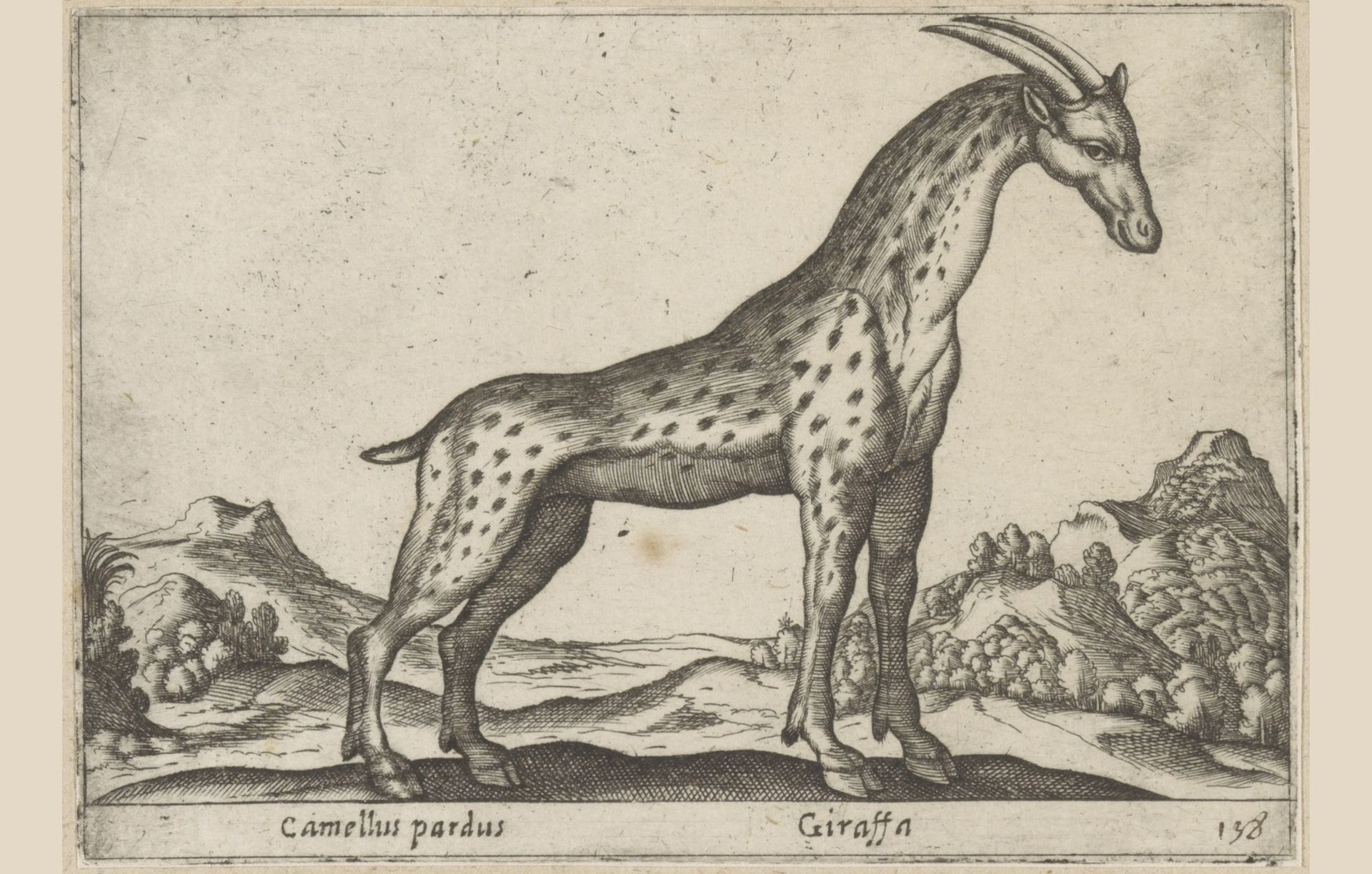 Giraffe by Antonio Tempesta