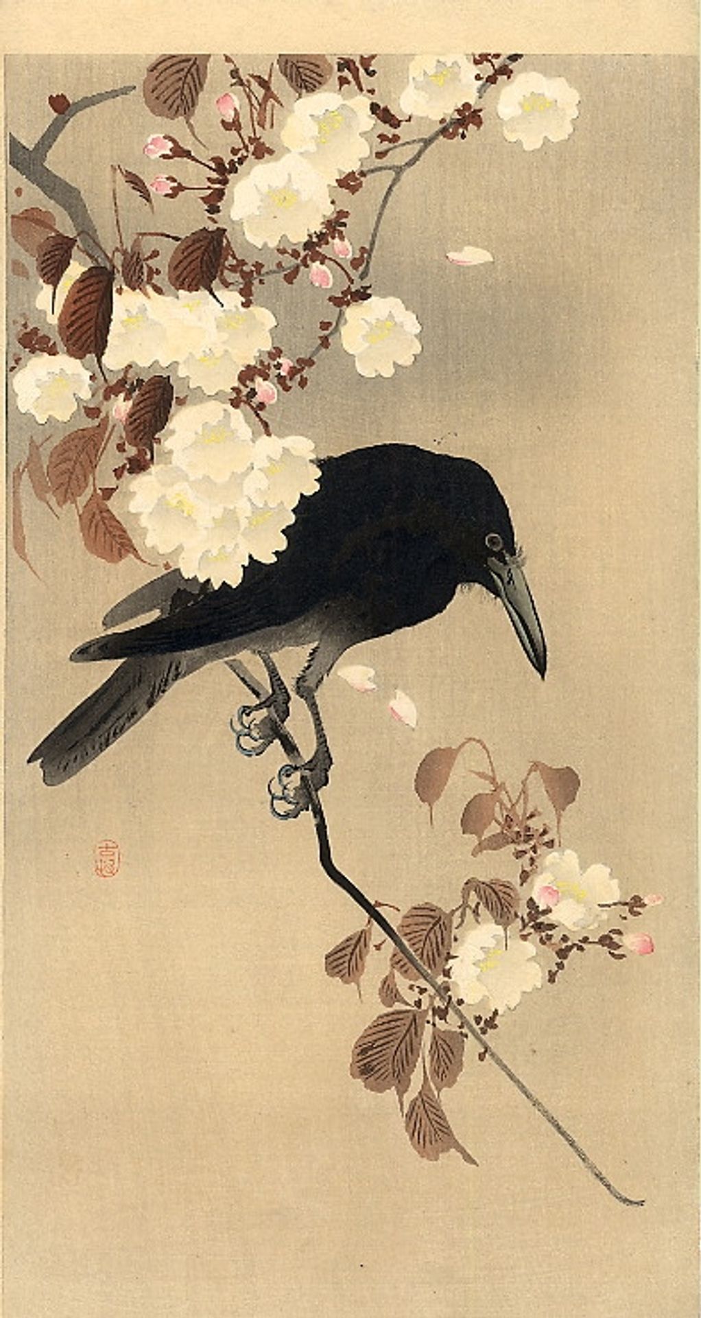 Crow on a Cherry Branch by Ohara Koson
