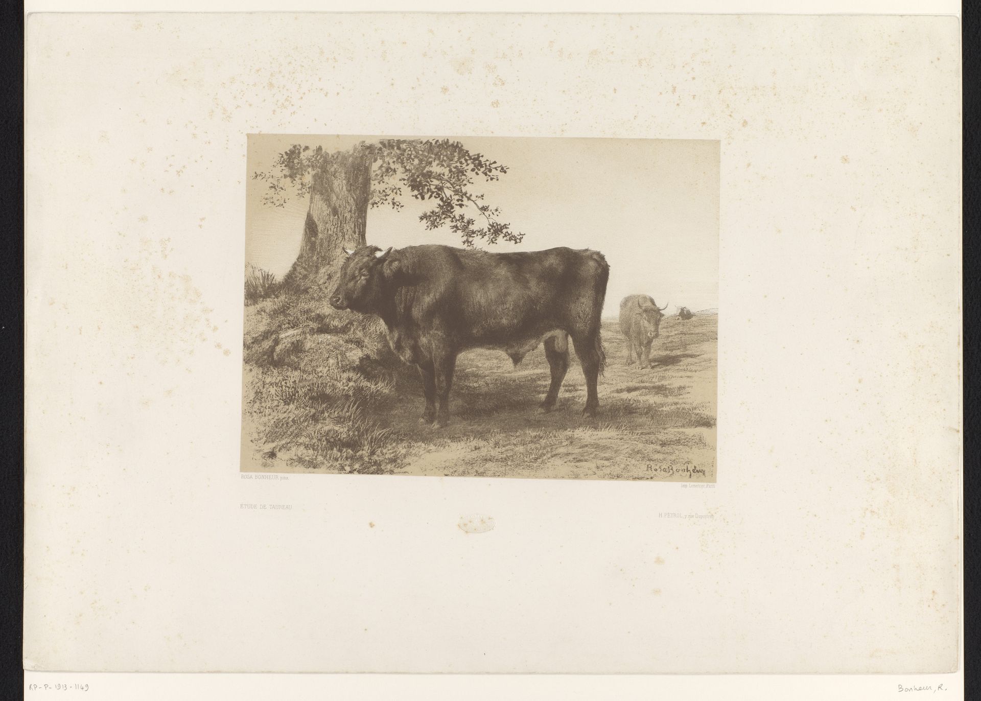 Spaanse stier bij een boom by Rosa Bonheur