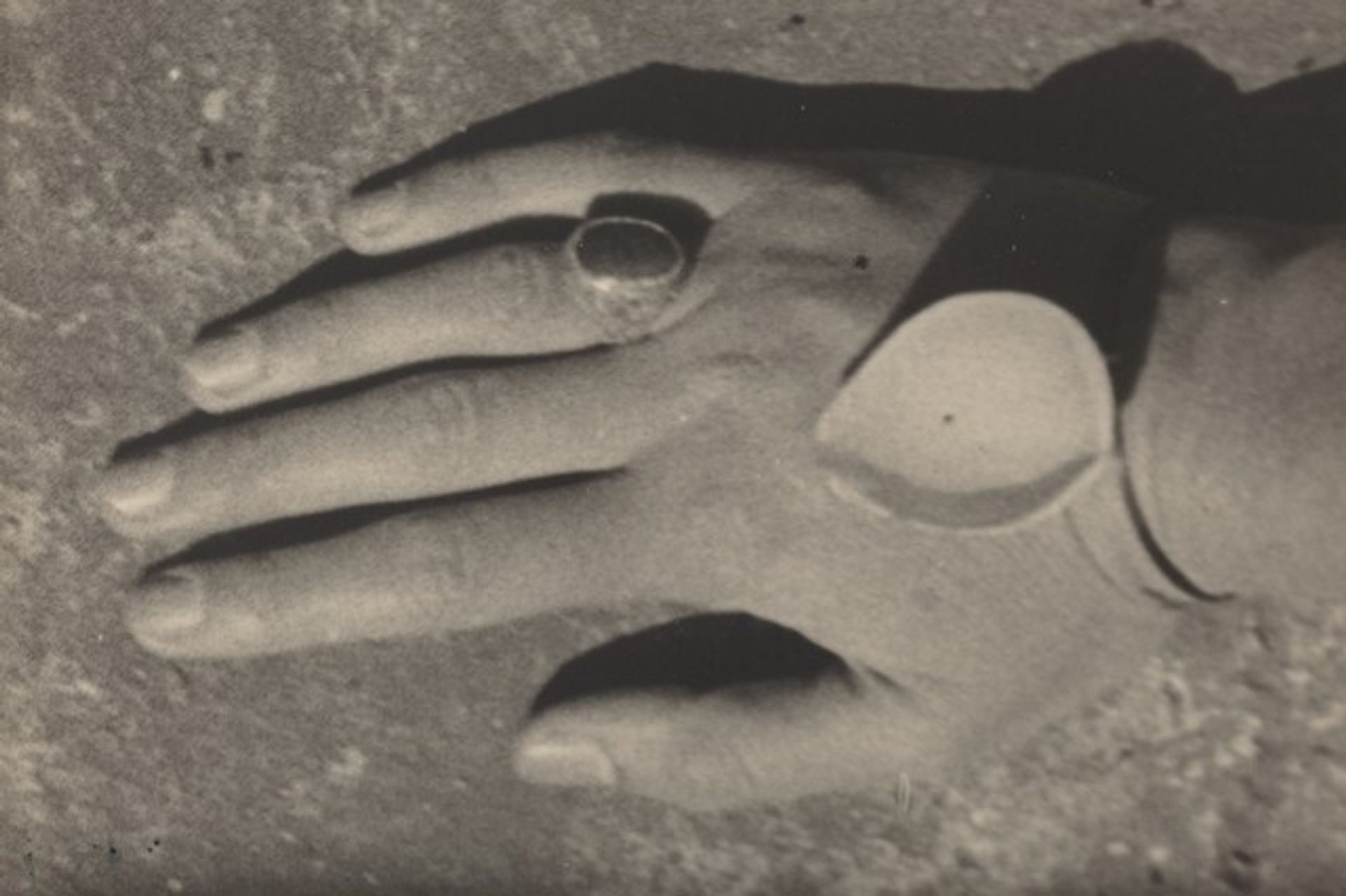 Shell on Hand, Paris by Ilse Bing