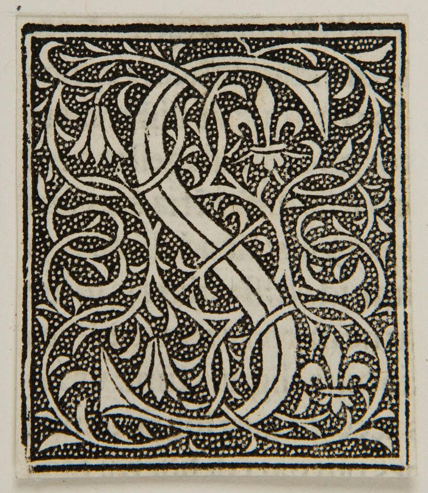 Letter S by Anonymous