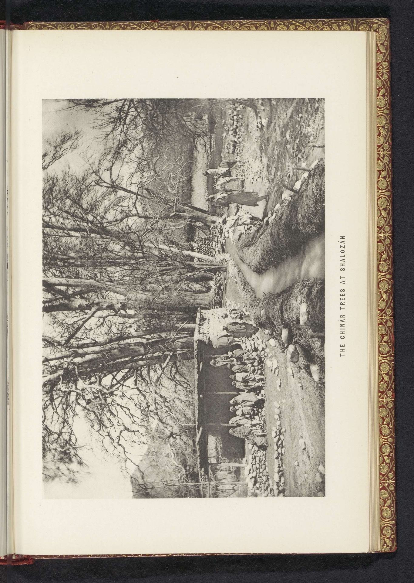 The Chinár trees at Shalozán by Frederick Saint John Gore