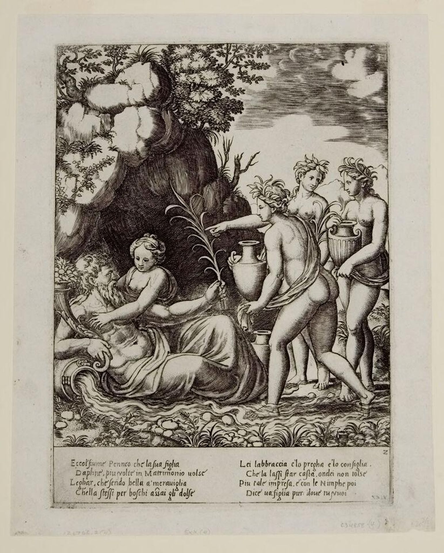Daphne Embracing the River Peneus by Anonymous