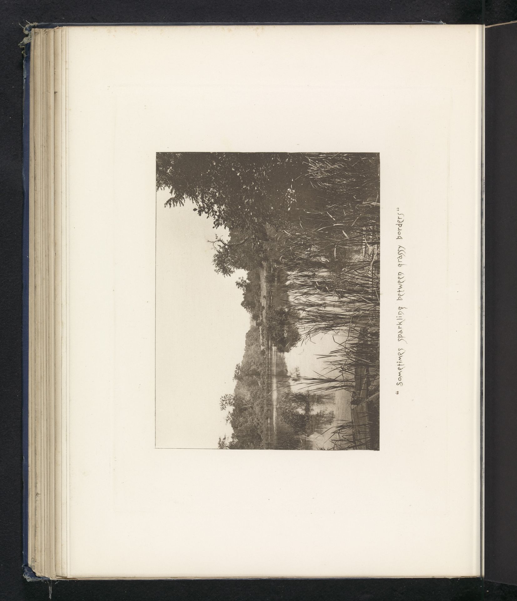 Gezicht op een poel nabij Sleepy Hollow by J.L. Williams