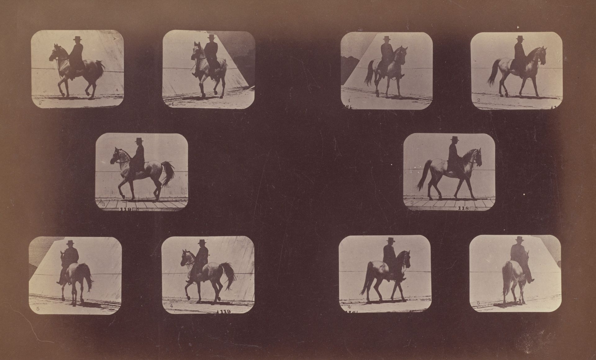 Studies of Foreshortenings. Horses. Walking. Mahomet. Nos. 119-120 by Eadweard Muybridge