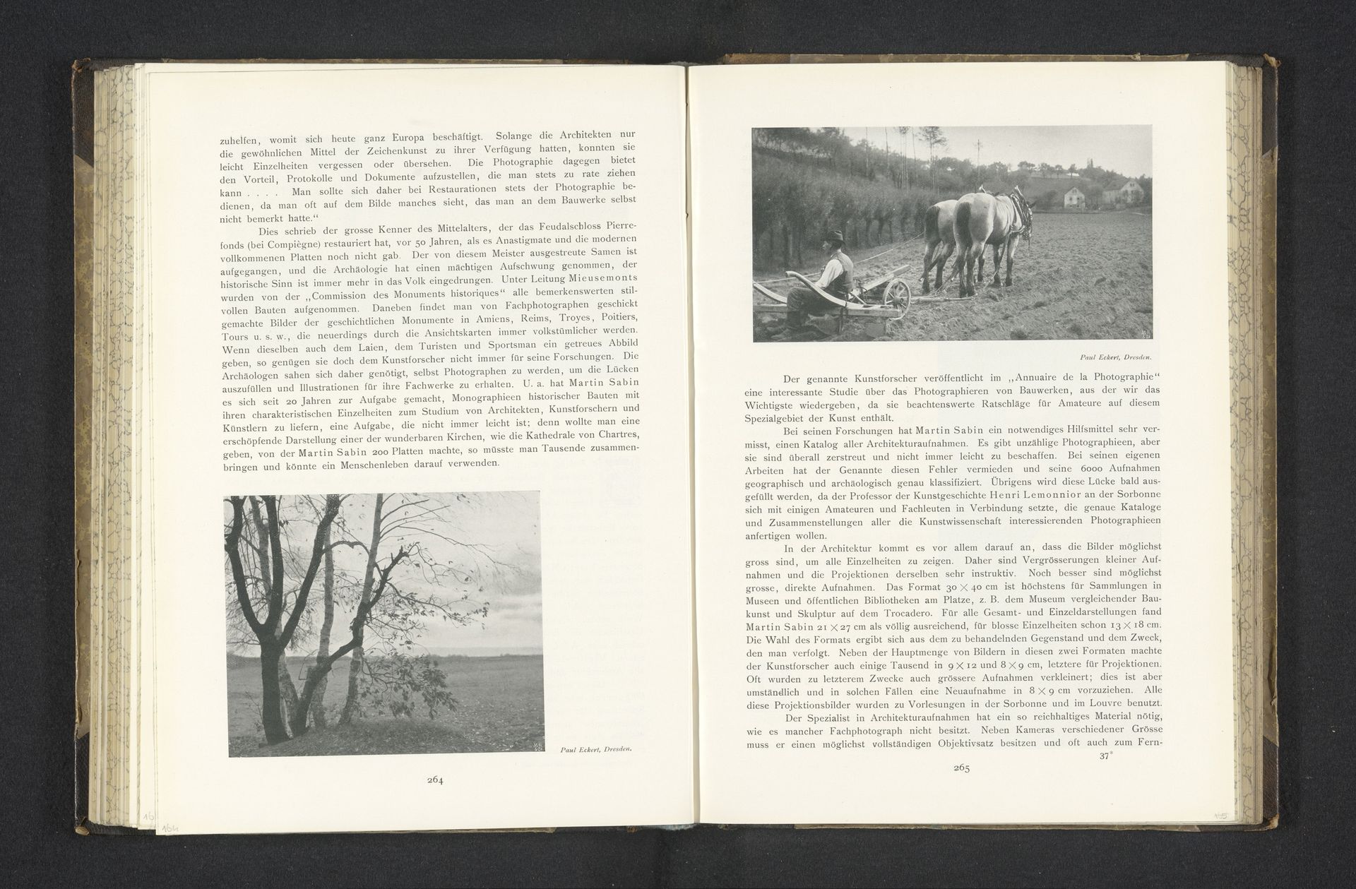 Landschap, met op de voorgrond bomen by Paul Eckert