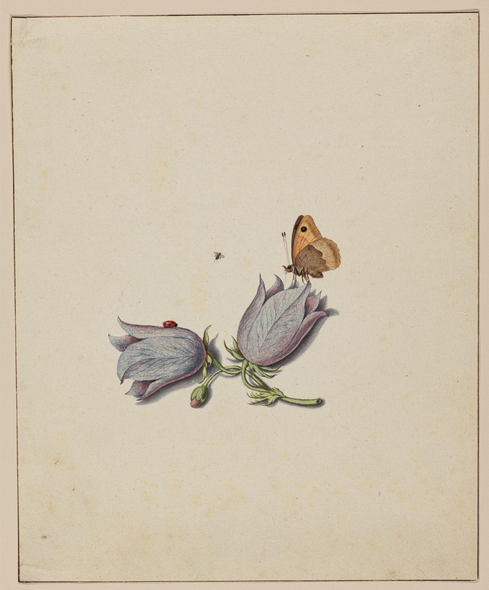 Purple-gray Flower with Three Insects by Margareta de Heer