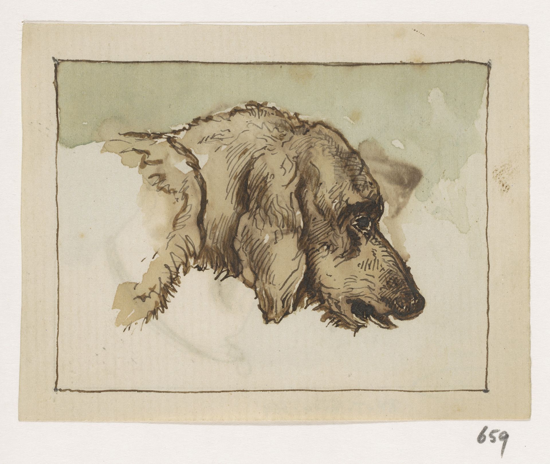 Kop van een hond by Johannes Tavenraat