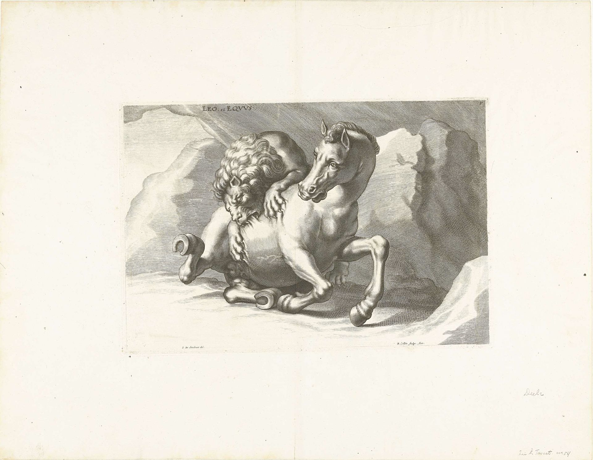 Leeuw bijt paard by Richard Collin