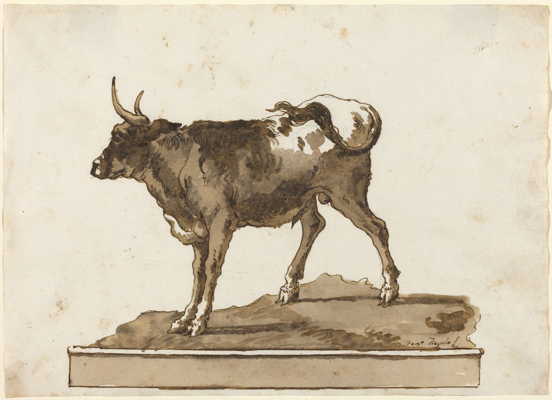 A Bull on a Ledge by Giovanni Domenico Tiepolo