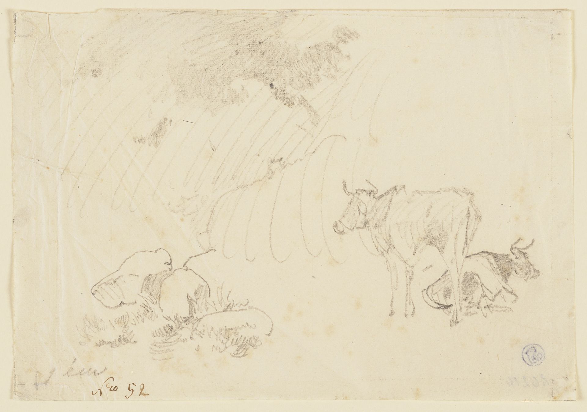 Zwei Kühe, eine stehend, eine liegend by Johann Nepomuk Rauch