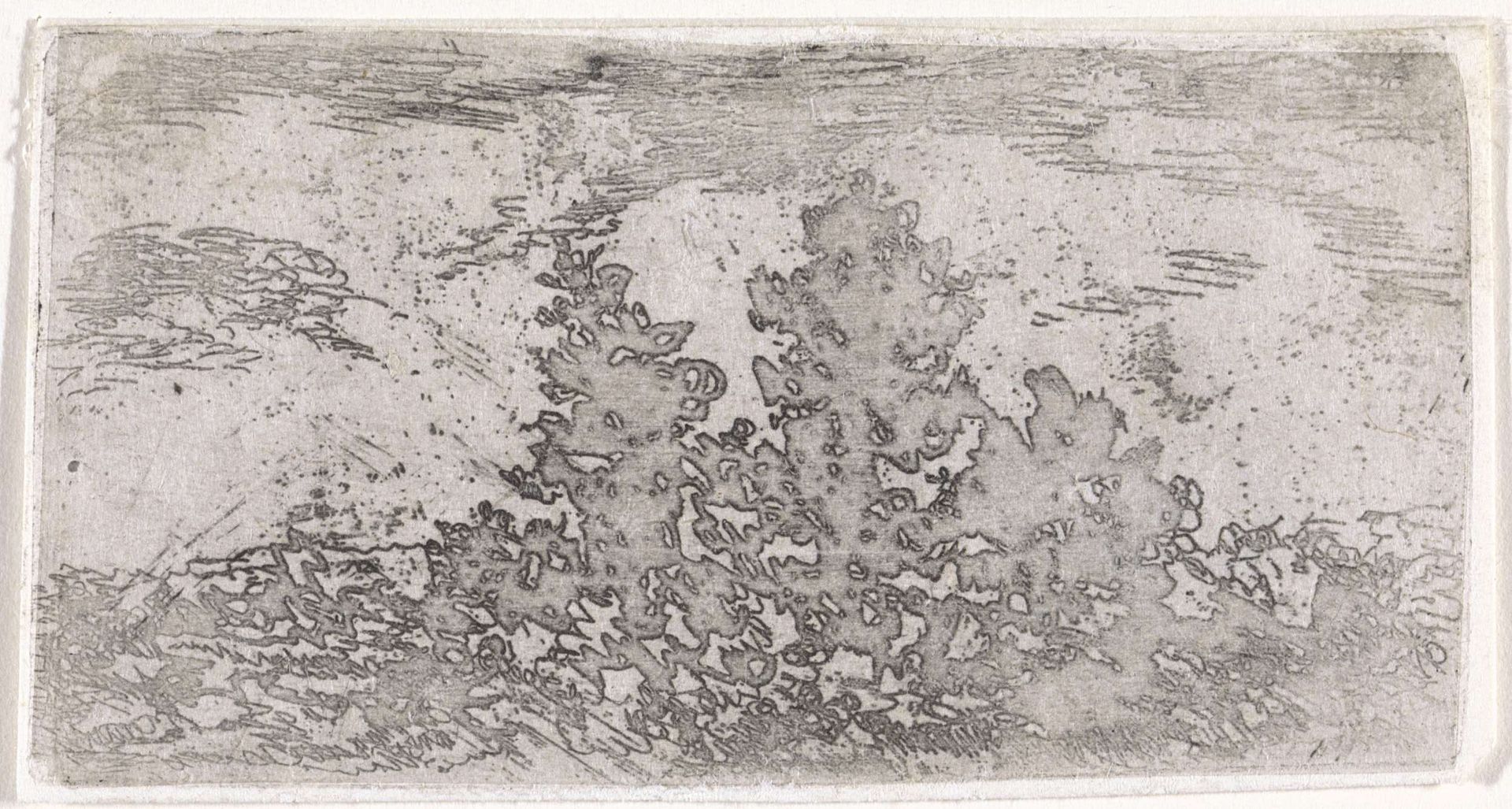 Boomgroep in een landschap by Arnoud Schaepkens