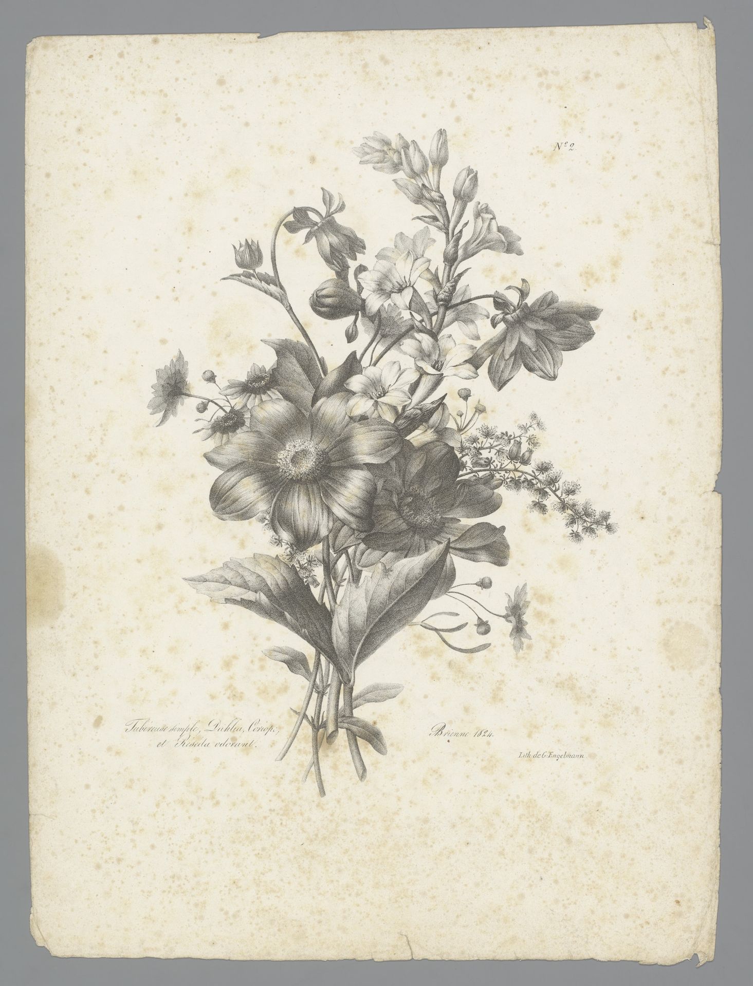 Boeket met tuberoos, dahlia, coreopsis en geurende reseda by Auguste Piquet de Brienne