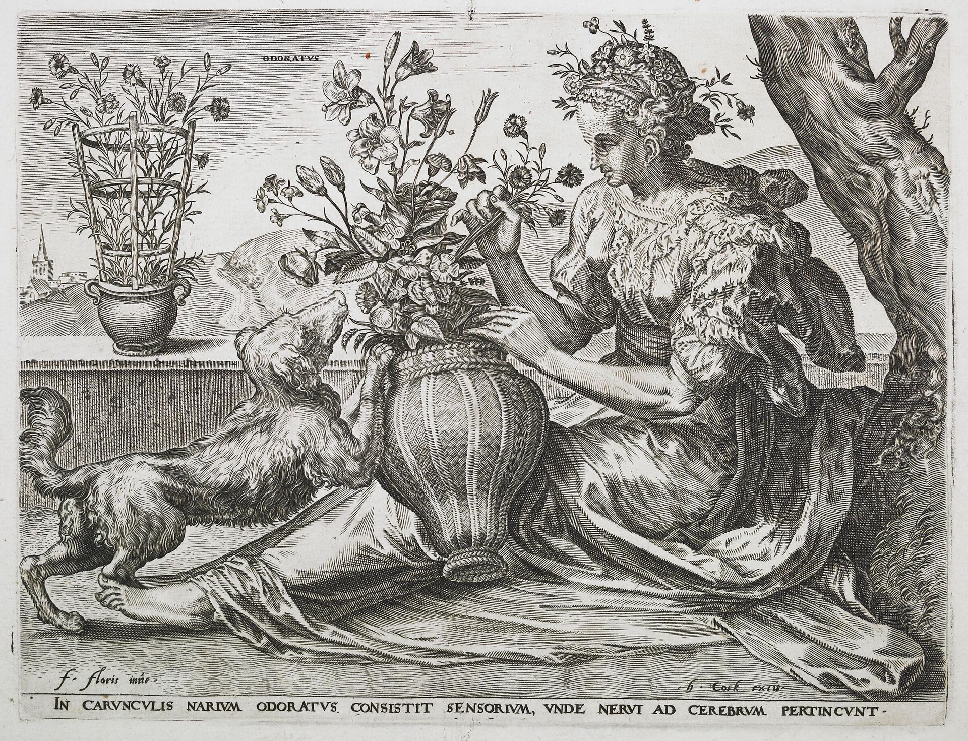 Smell by Cornelis Cort