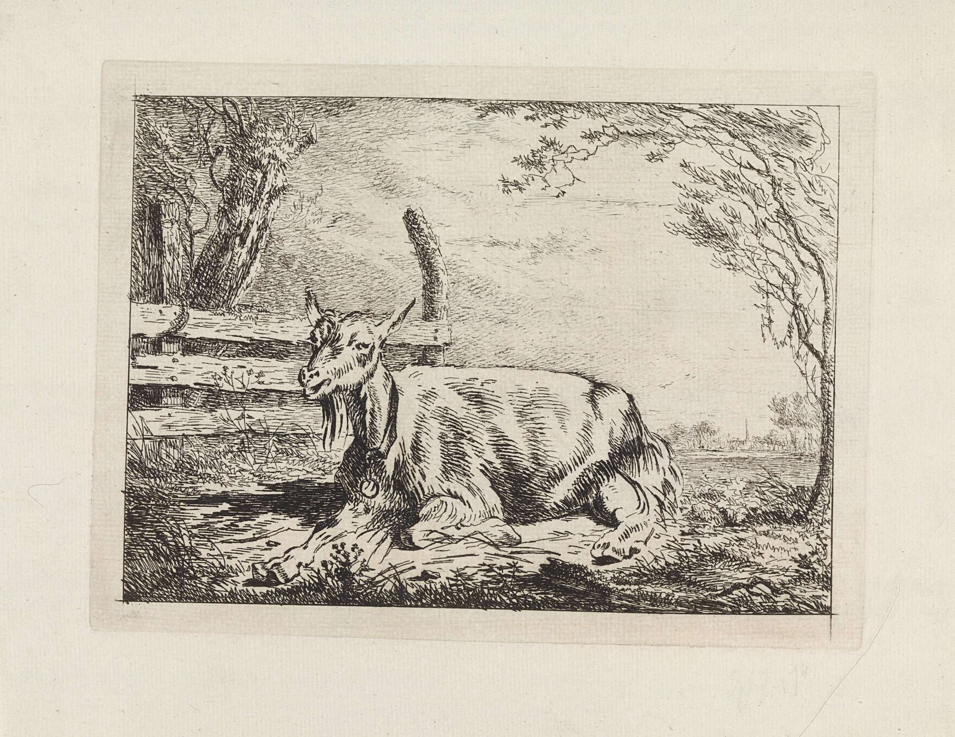 Liggende geit bij een hek by Gerard van Nijmegen