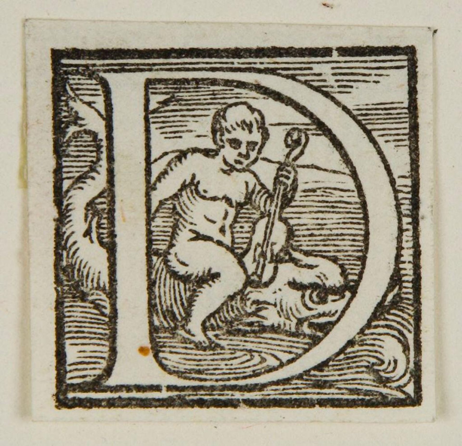 Letter D by Anonymous