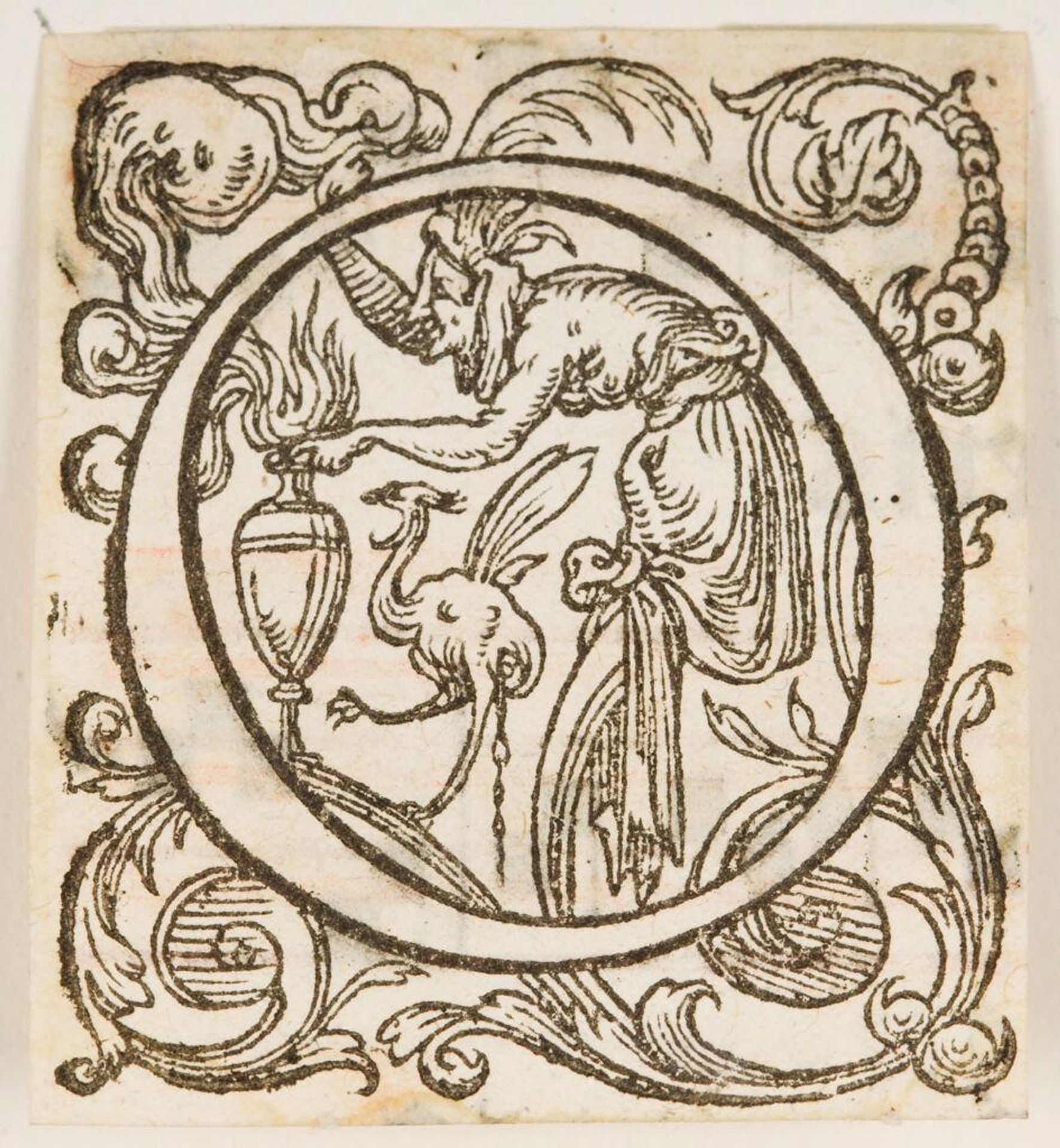 Letter O by Anonymous